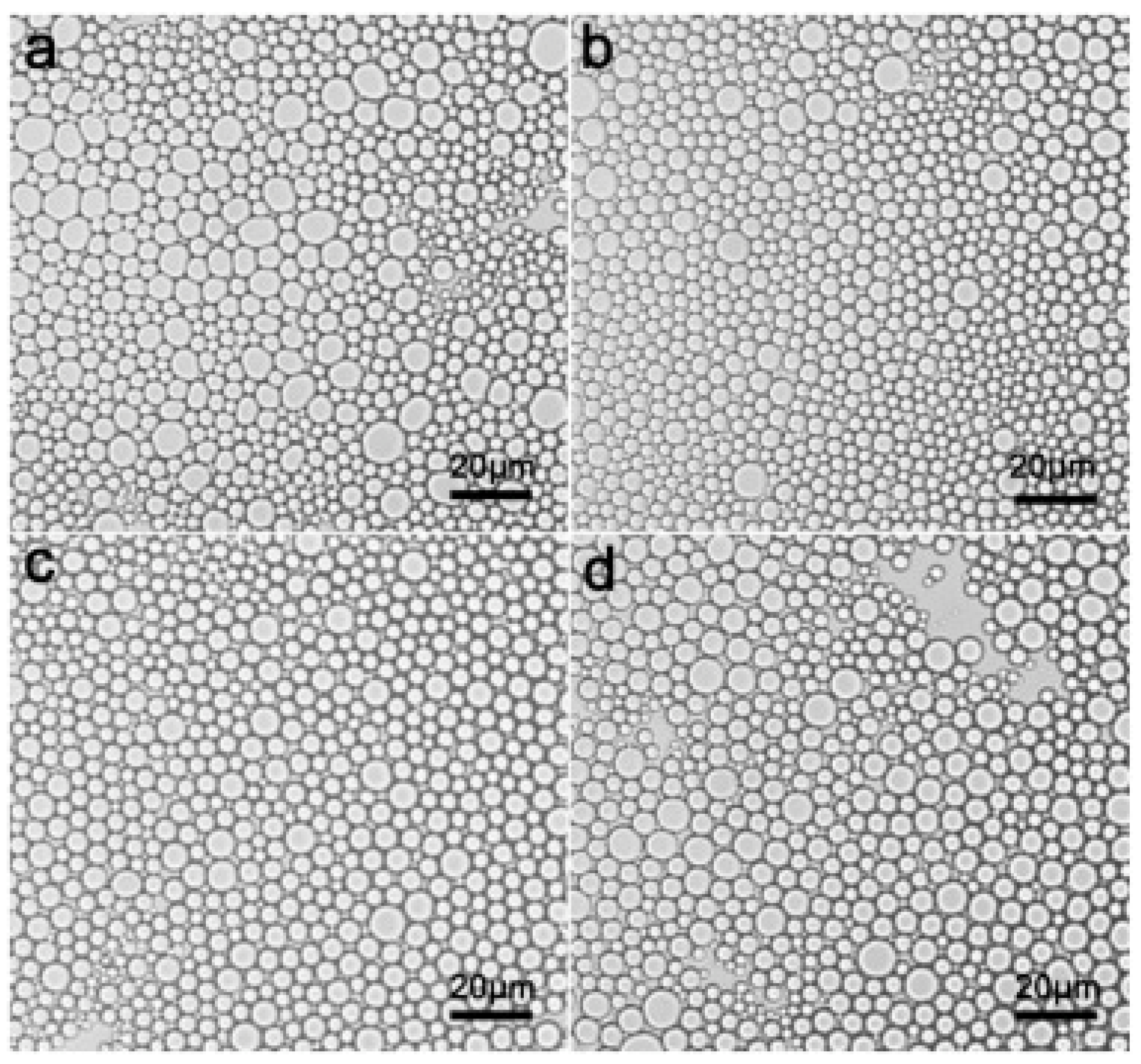Molecules 25 03202 g008 Molecules 25 03202 g008