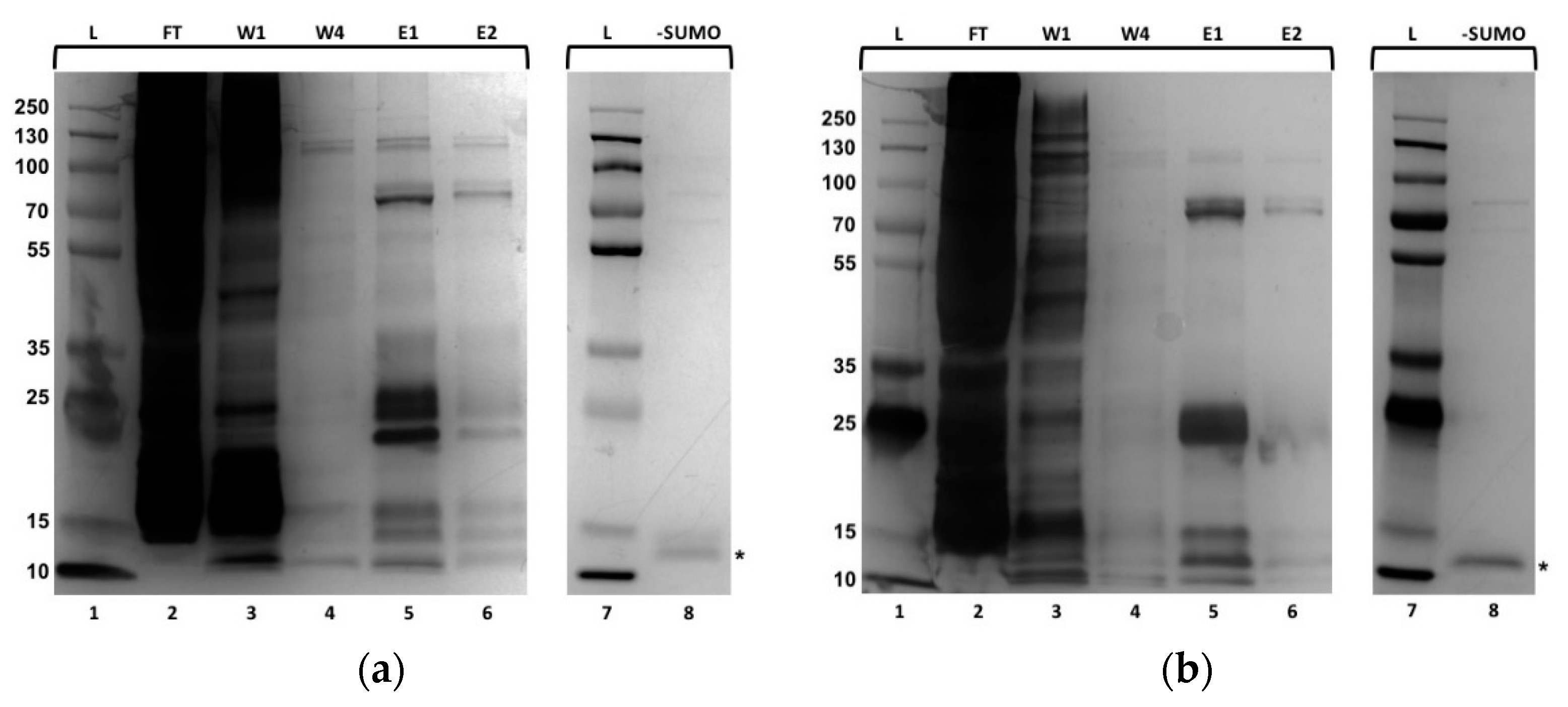 Molecules 25 03212 g002 Molecules 25 03212 g002