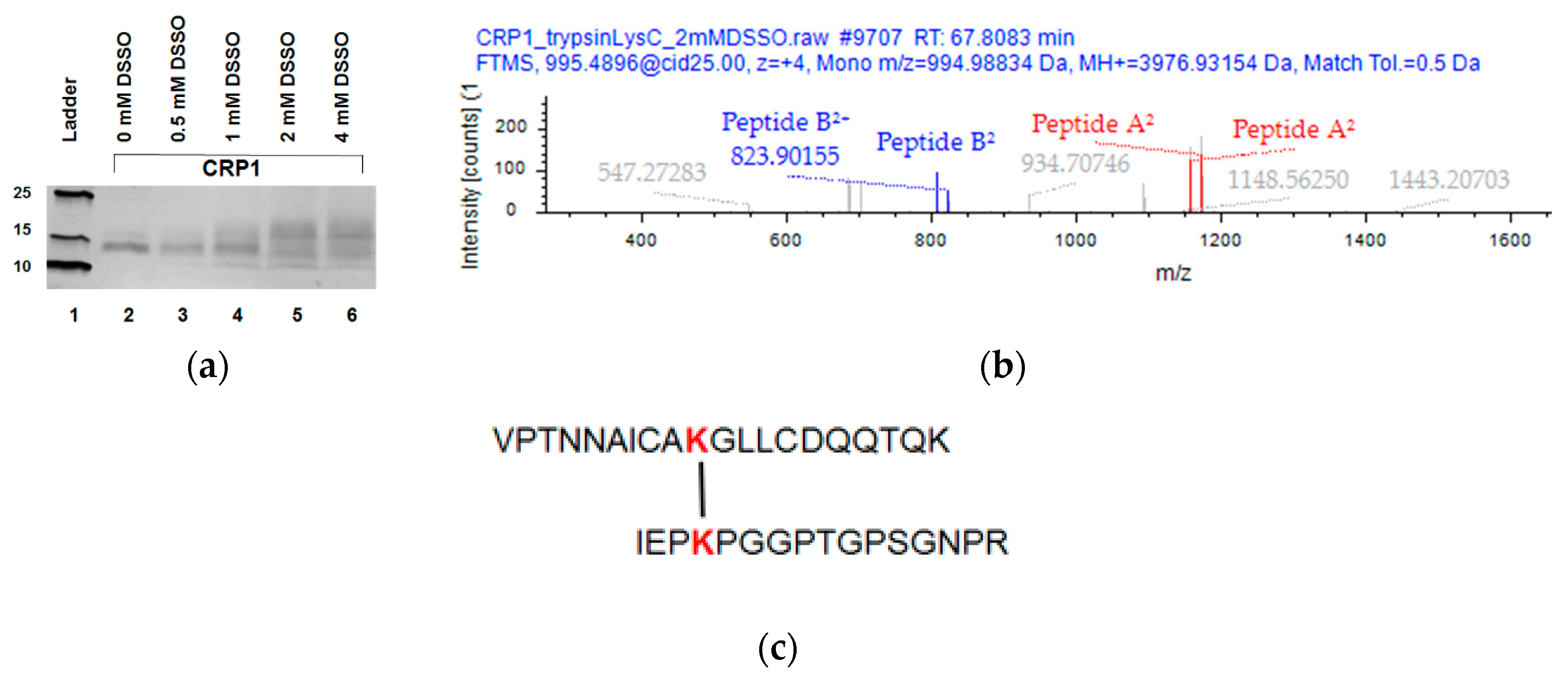 Molecules 25 03212 g006 Molecules 25 03212 g006