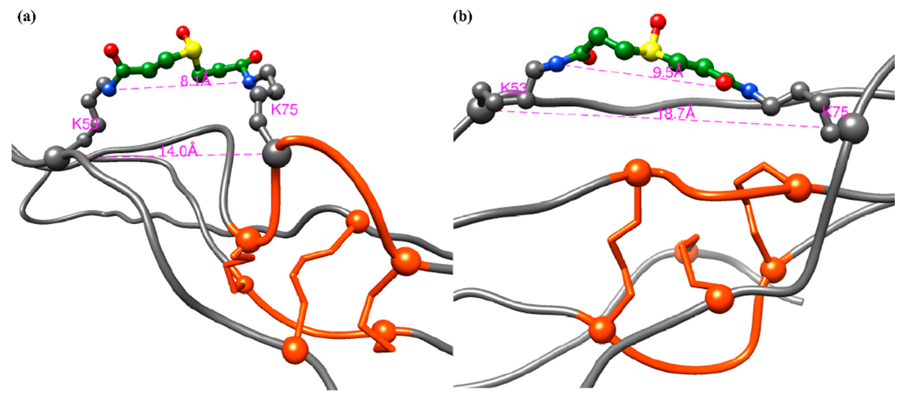 Molecules 25 03212 g007 Molecules 25 03212 g007