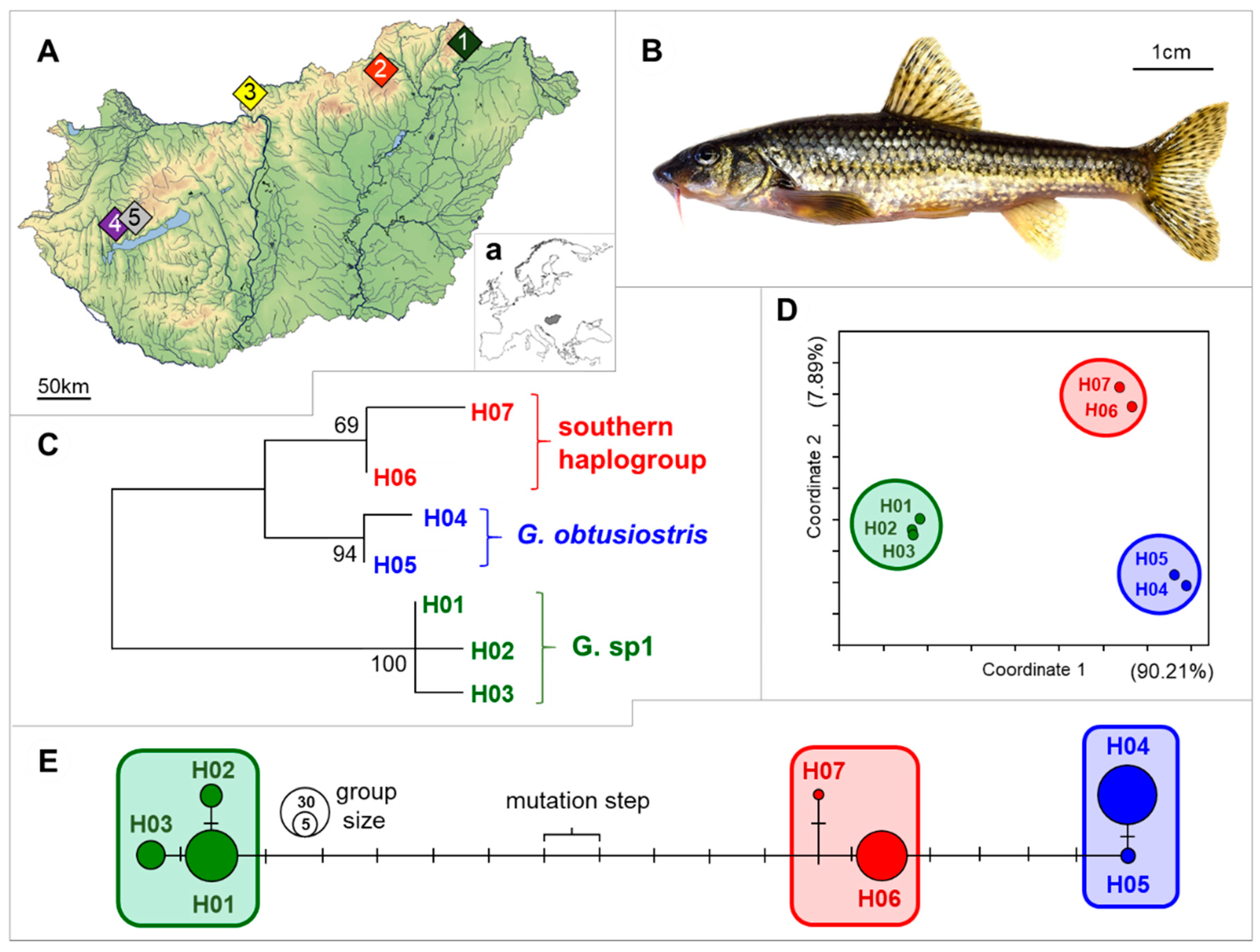 Molecules 25 03214 g001