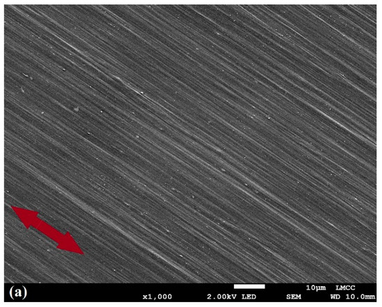 Molecules 25 03225 g001a Molecules 25 03225 g001a