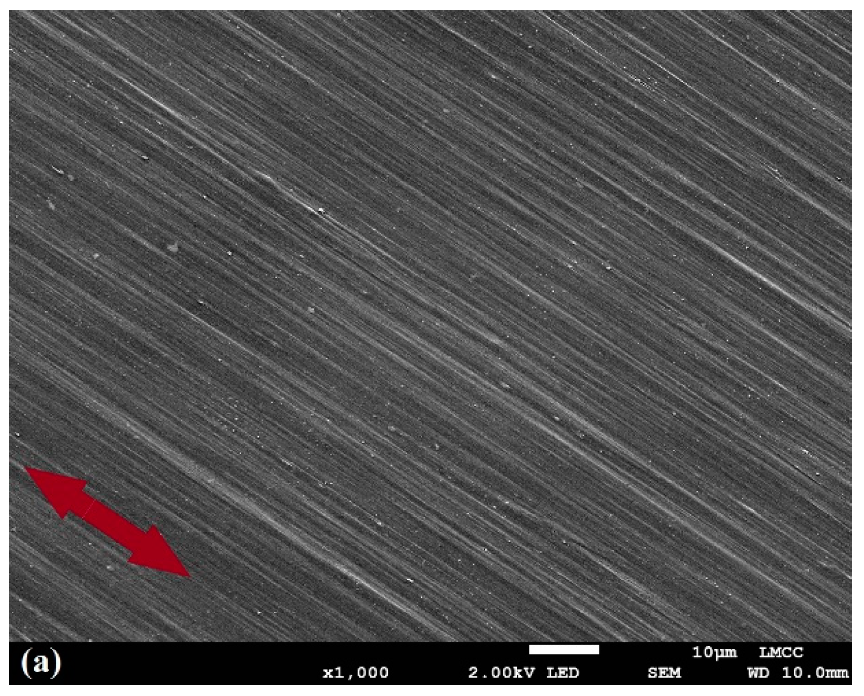 Molecules 25 03225 g001a Molecules 25 03225 g001a