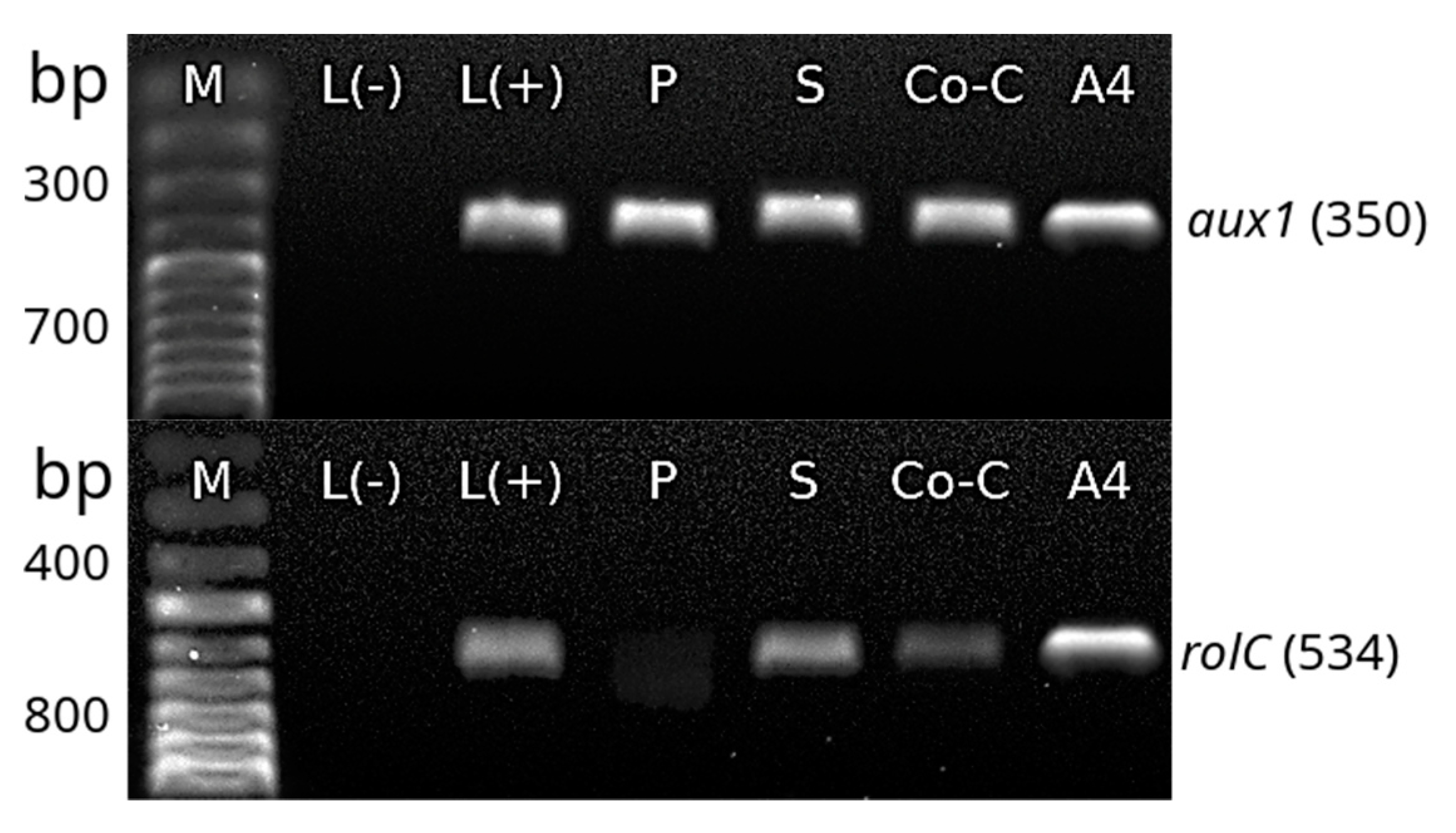 Molecules 25 03231 g006a Molecules 25 03231 g006a
