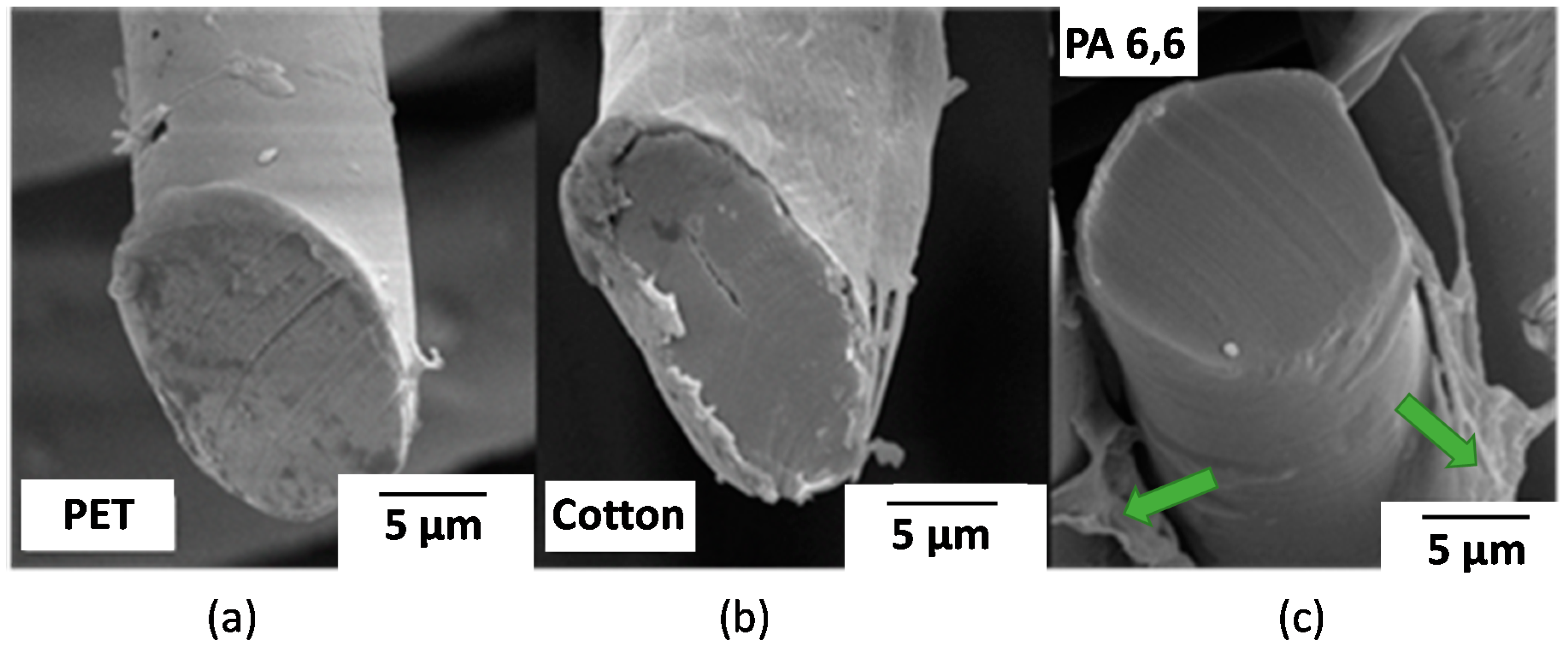 Molecules 25 03238 g001
