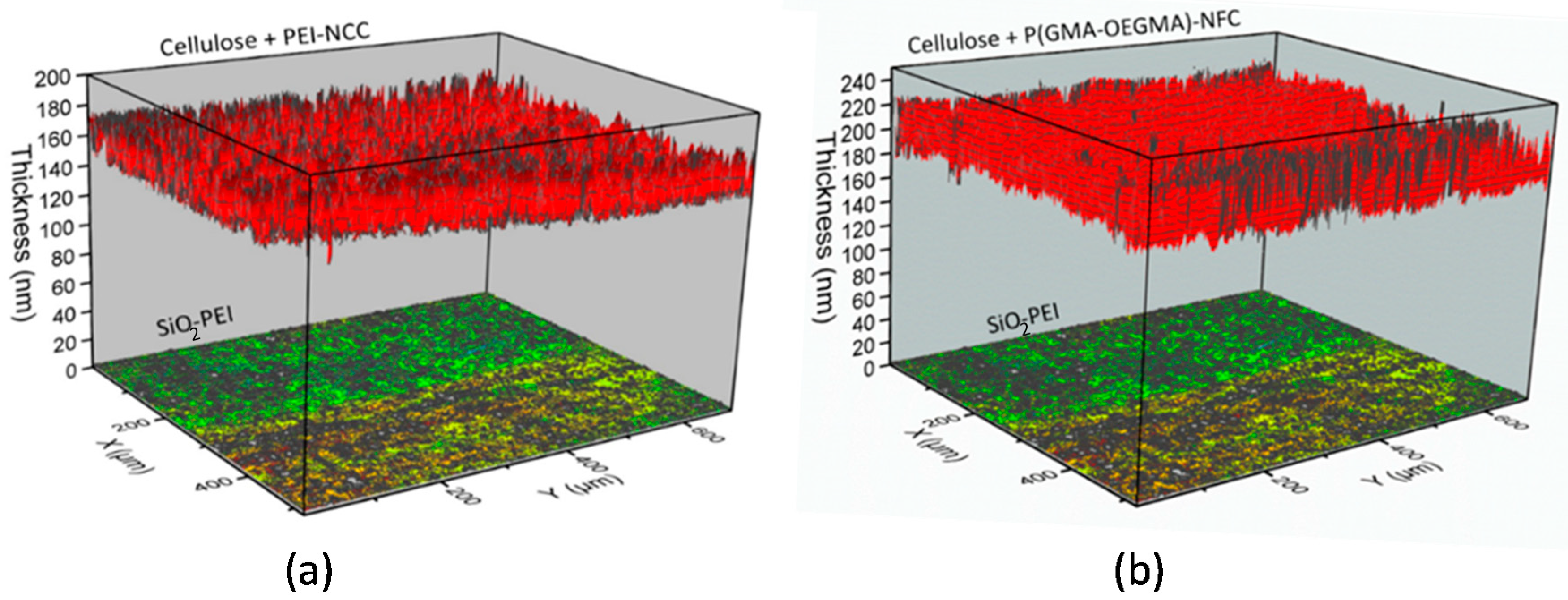Molecules 25 03238 g004