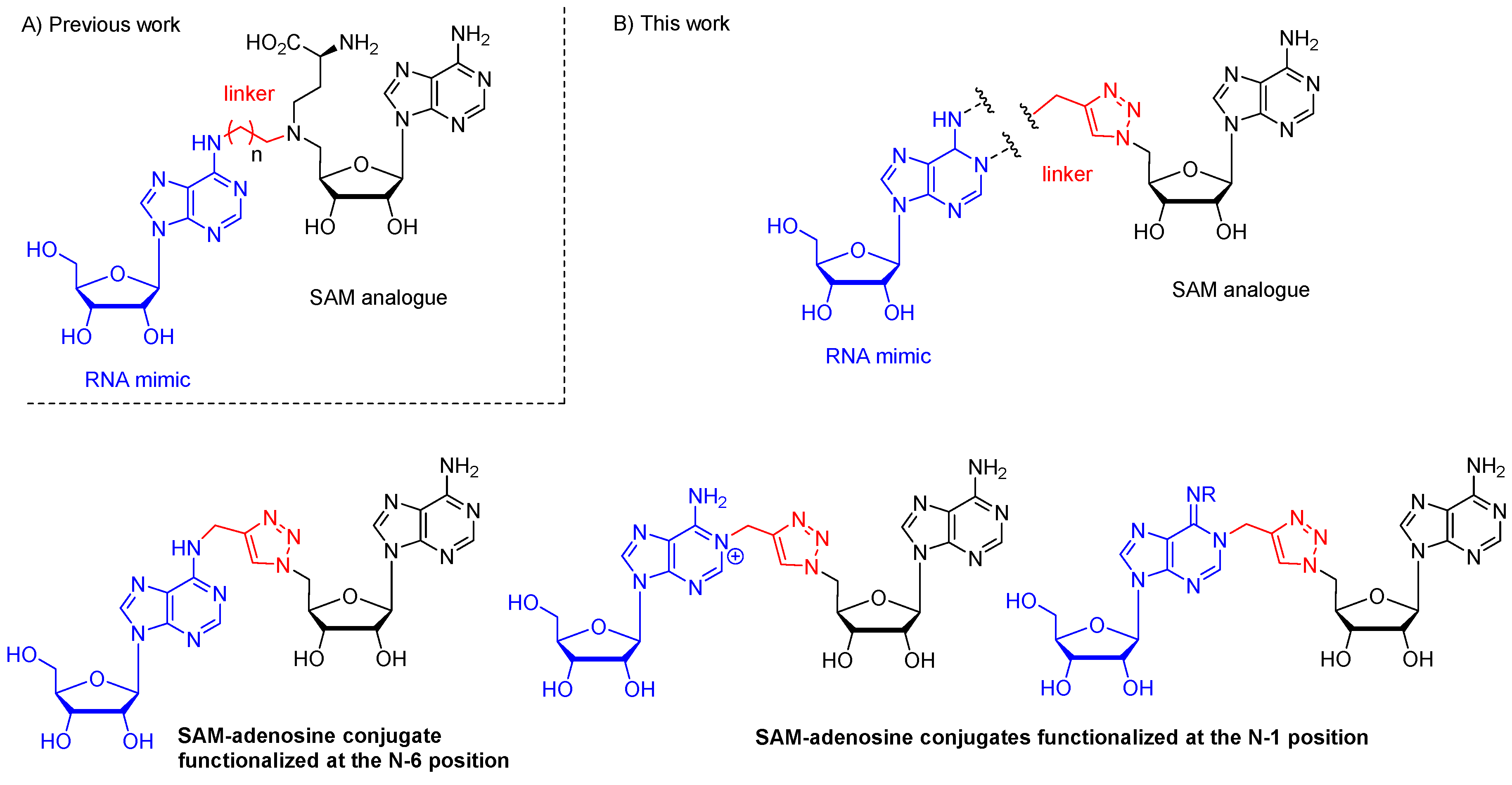 Molecules 25 03241 g001