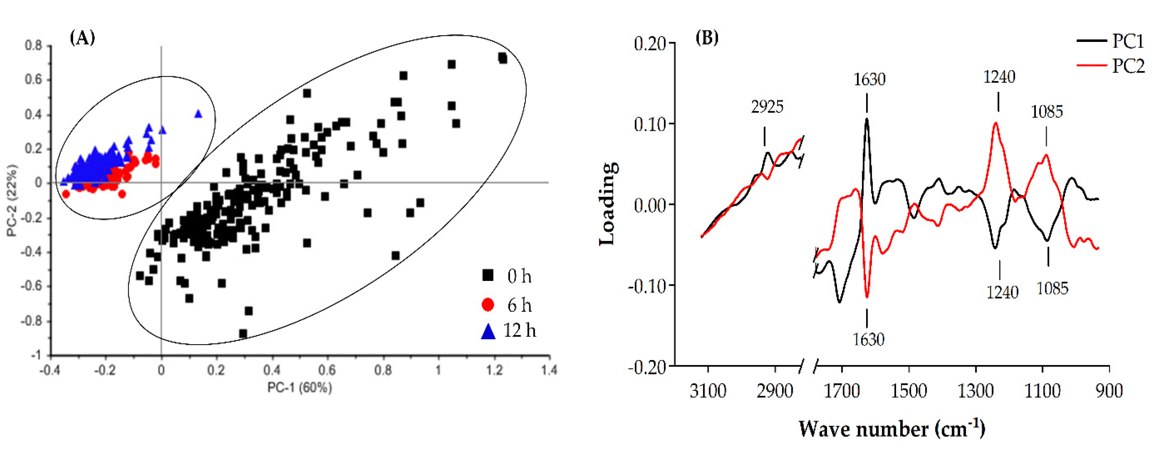 Molecules 25 03245 g005