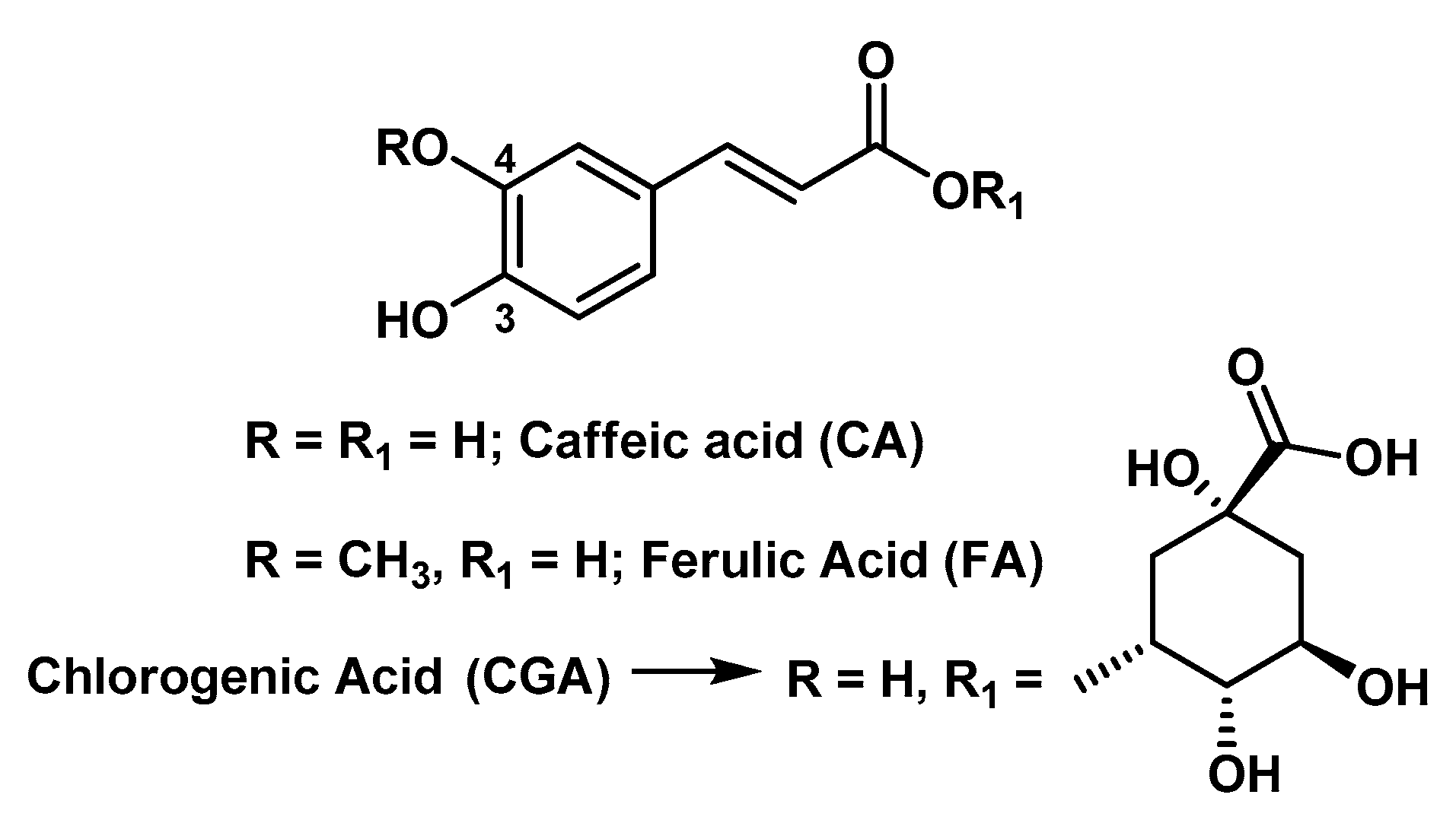 Molecules 25 03254 g005
