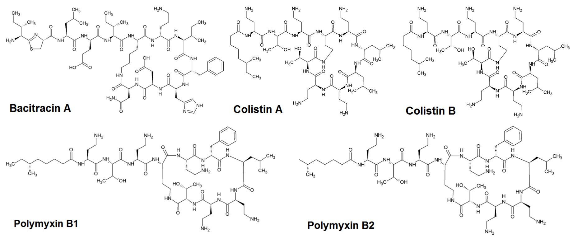 Molecules 25 03261 g001