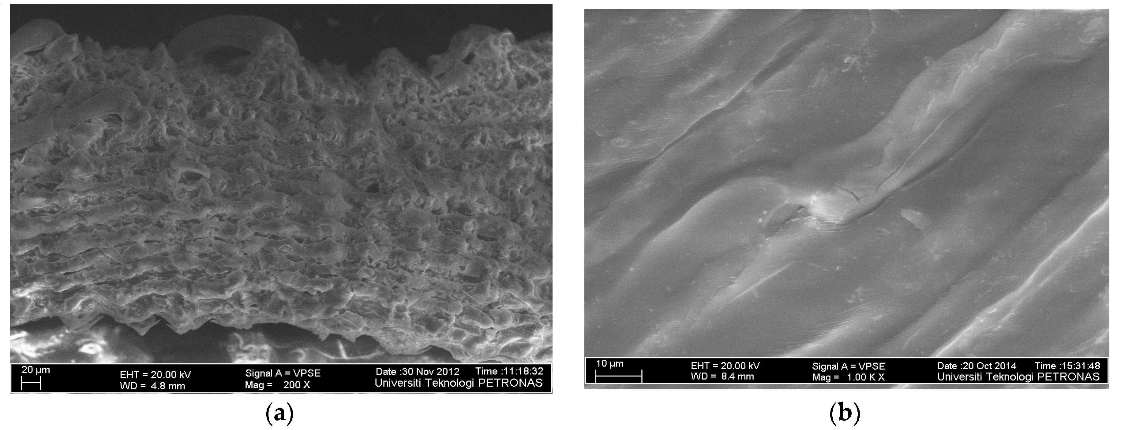 Molecules 25 03263 g002 Molecules 25 03263 g002