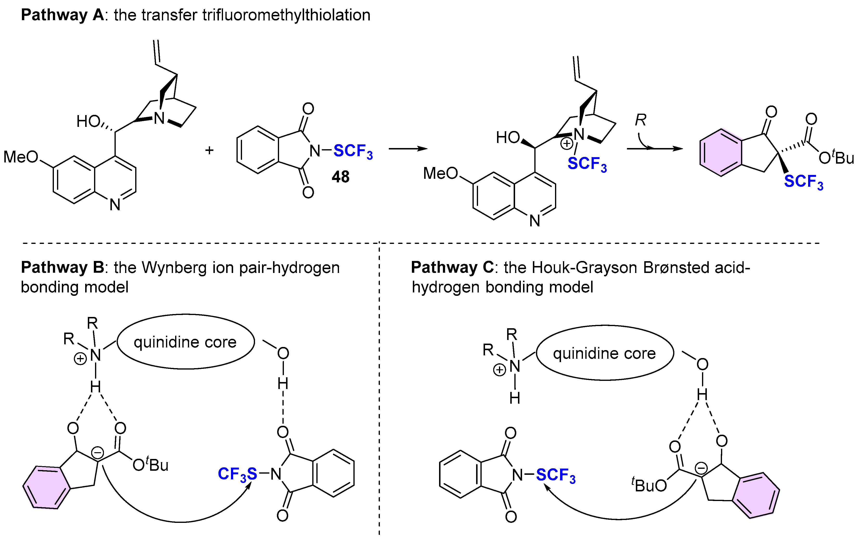 Molecules 25 03264 sch014
