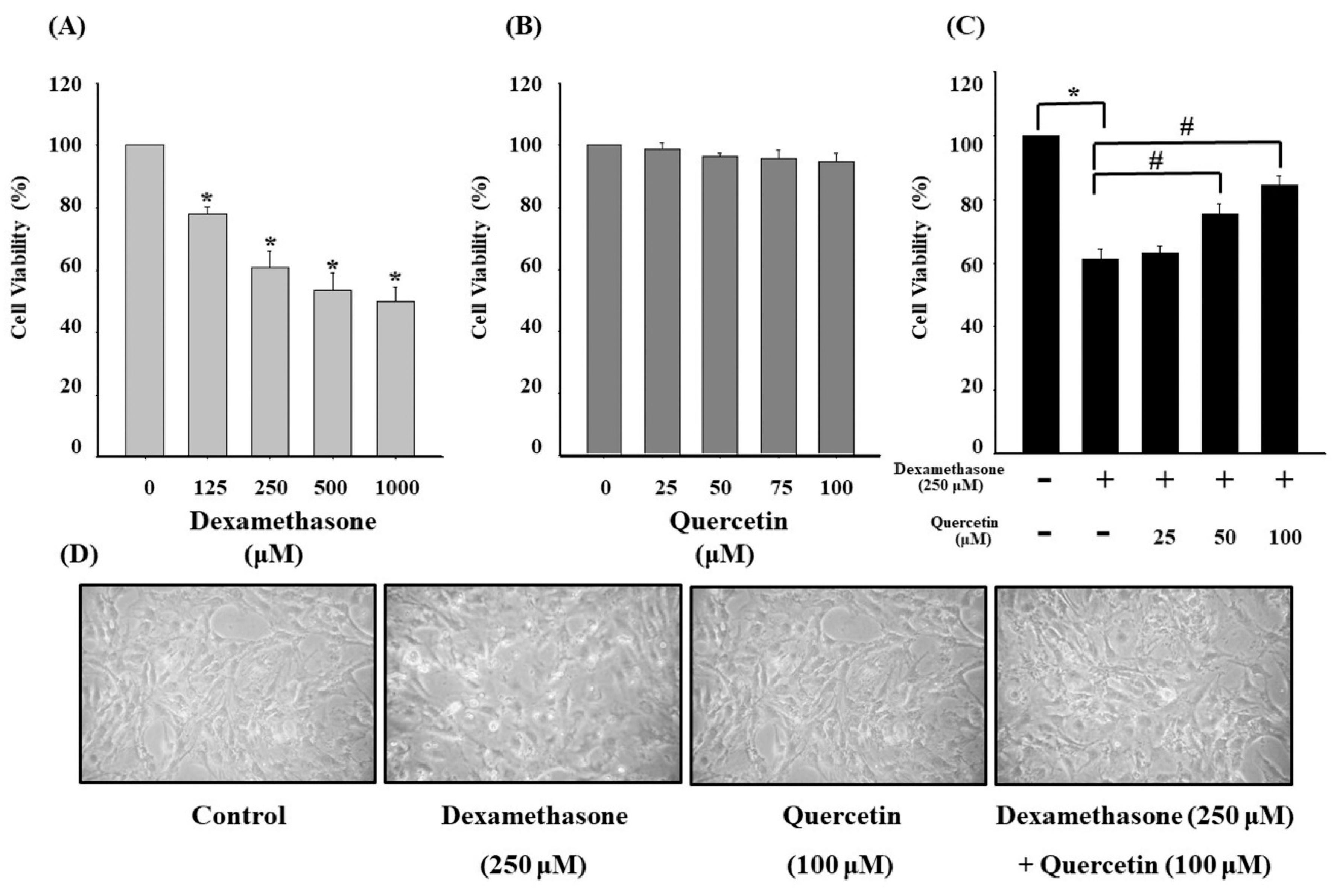 Molecules 25 03267 g001