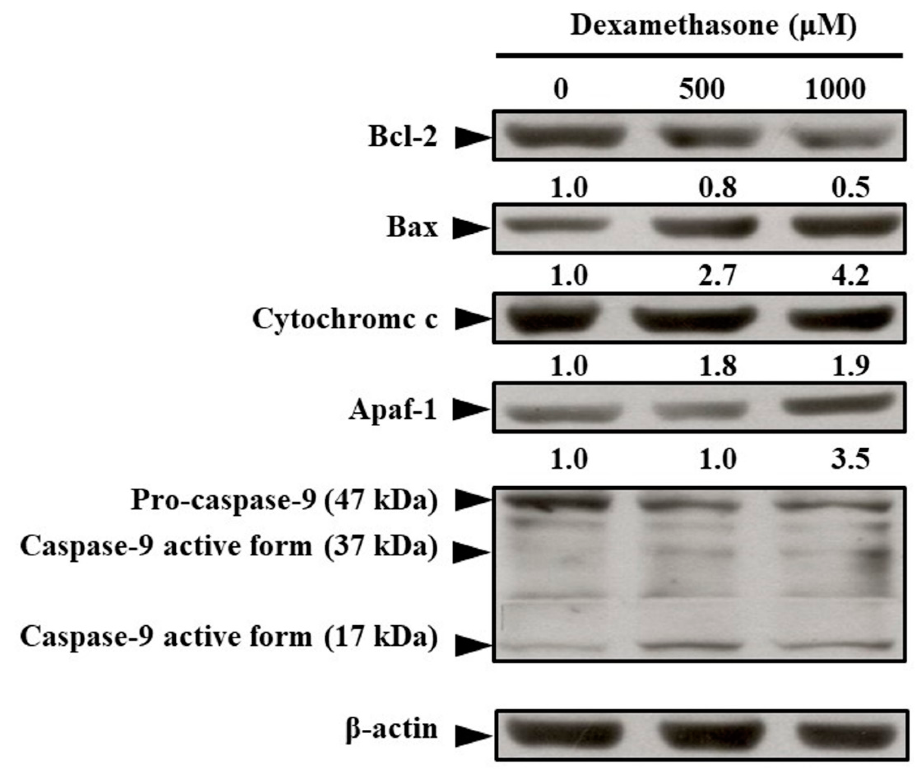 Molecules 25 03267 g004