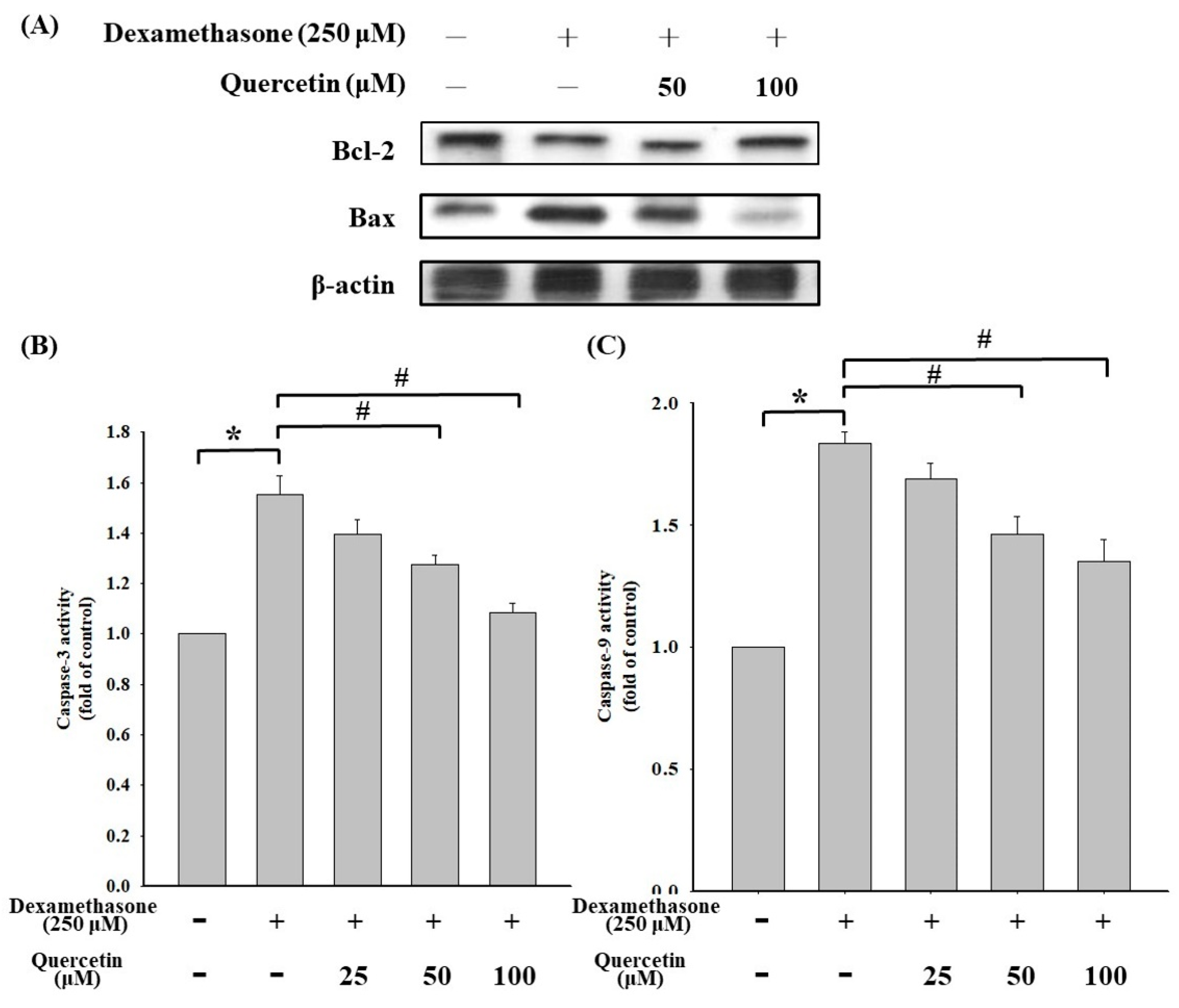 Molecules 25 03267 g005