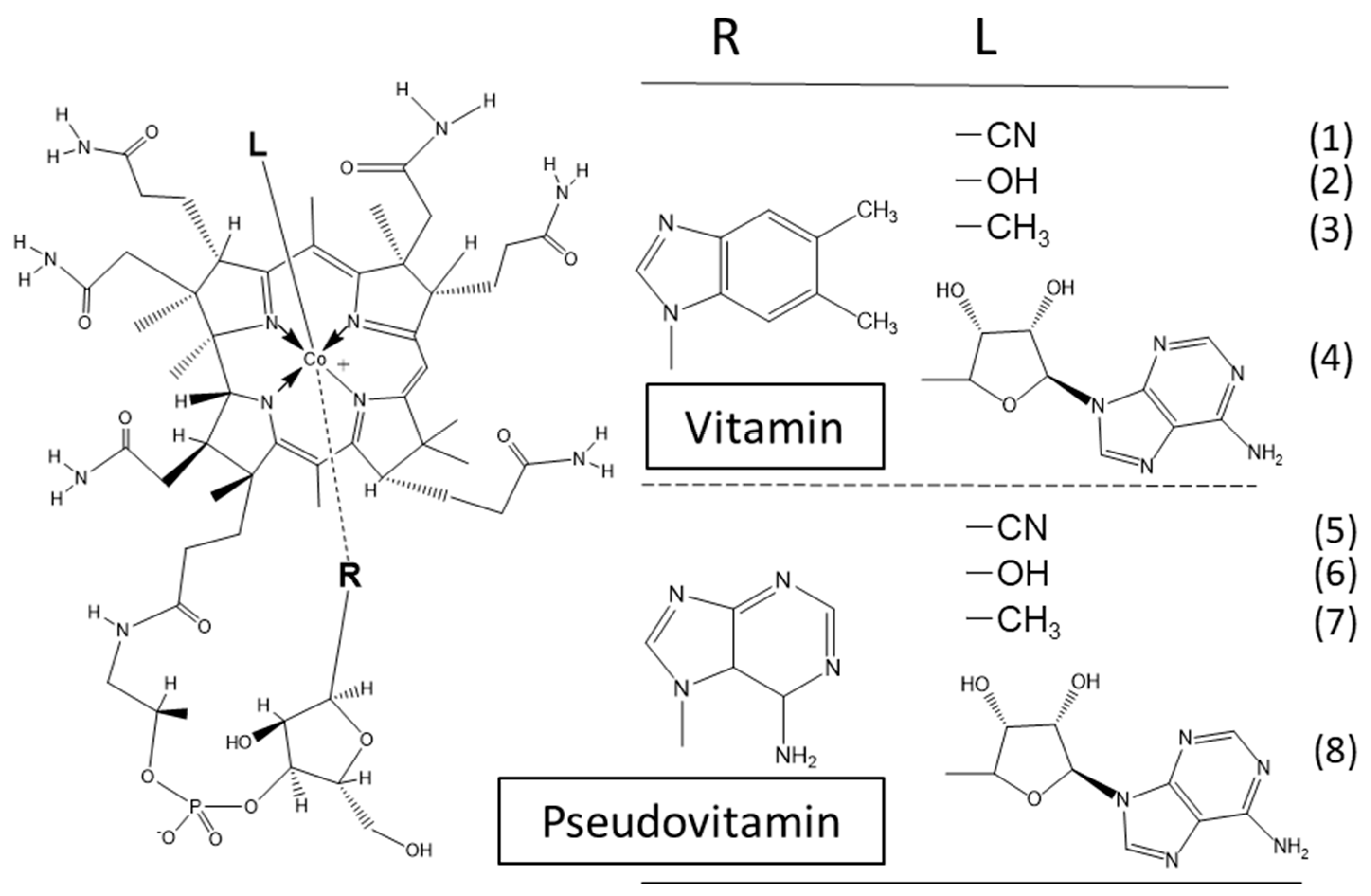 Molecules 25 03268 g001