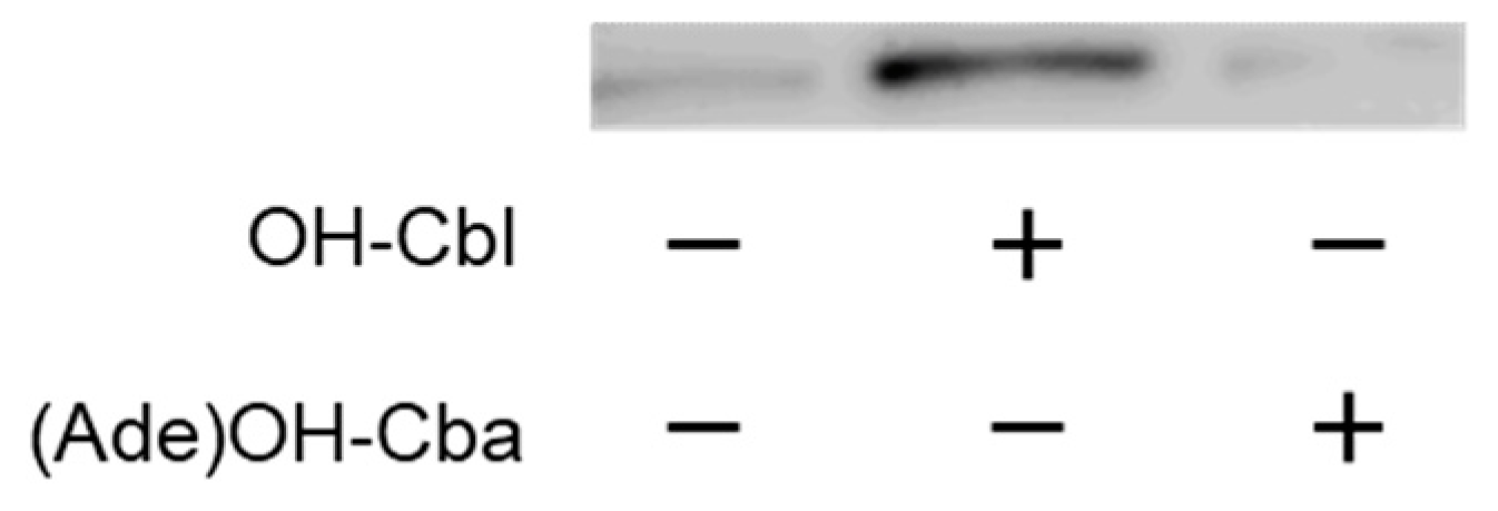 Molecules 25 03268 g002