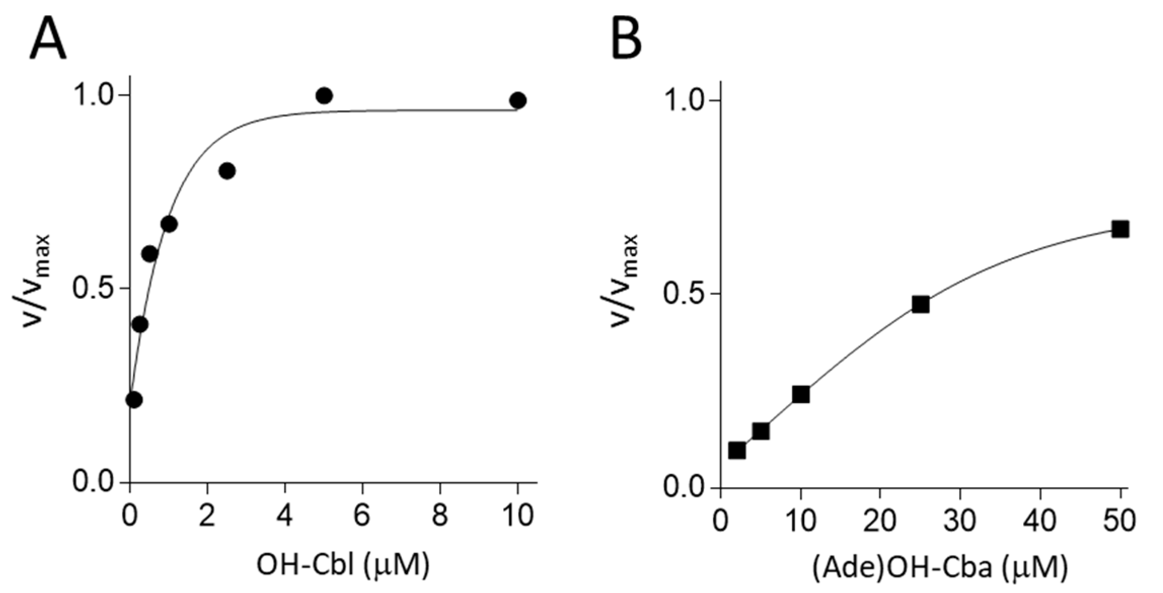 Molecules 25 03268 g004