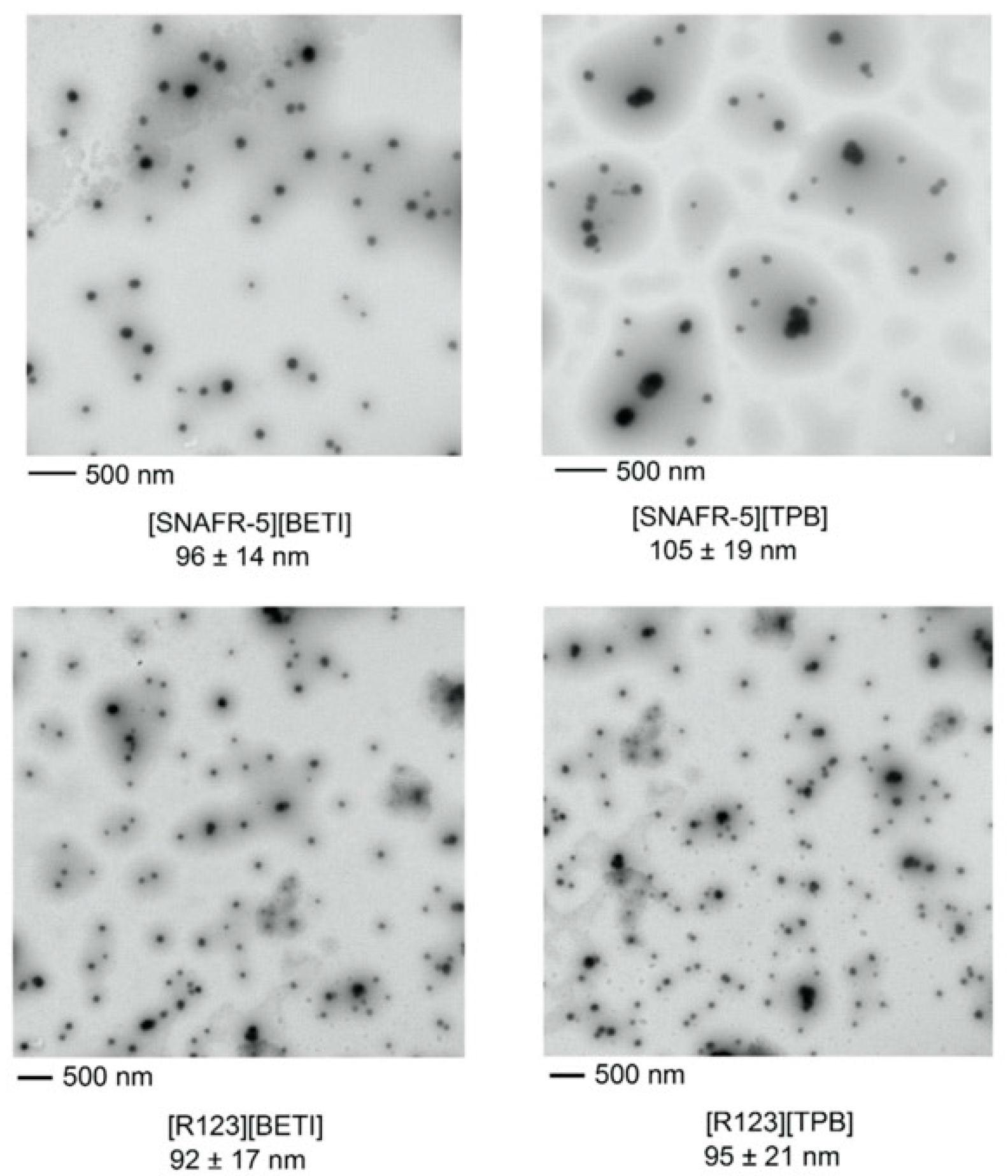 Molecules 25 03272 g002