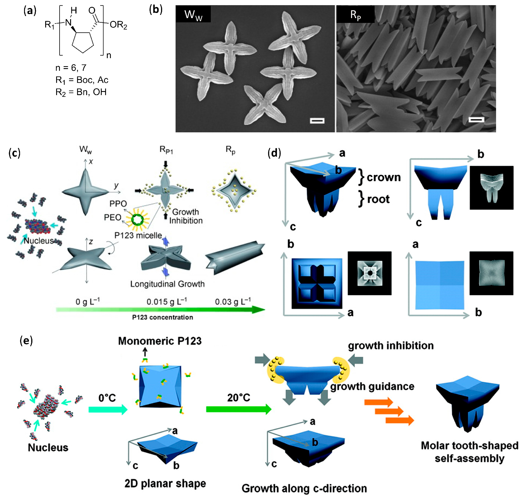 Molecules 25 03276 g008 Molecules 25 03276 g008