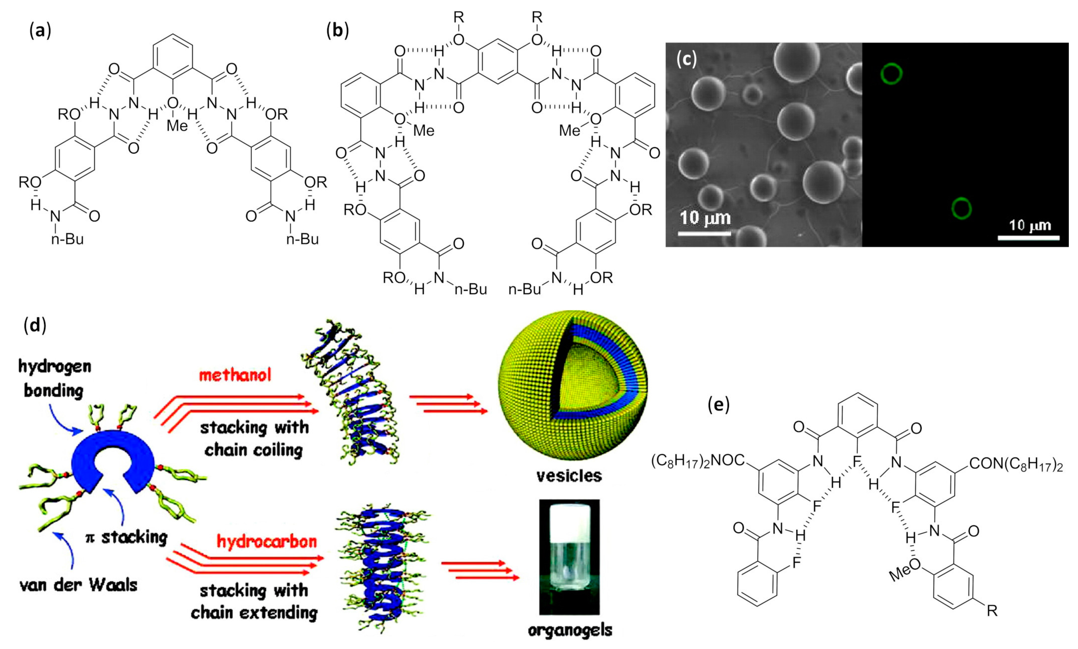 Molecules 25 03276 g014 Molecules 25 03276 g014