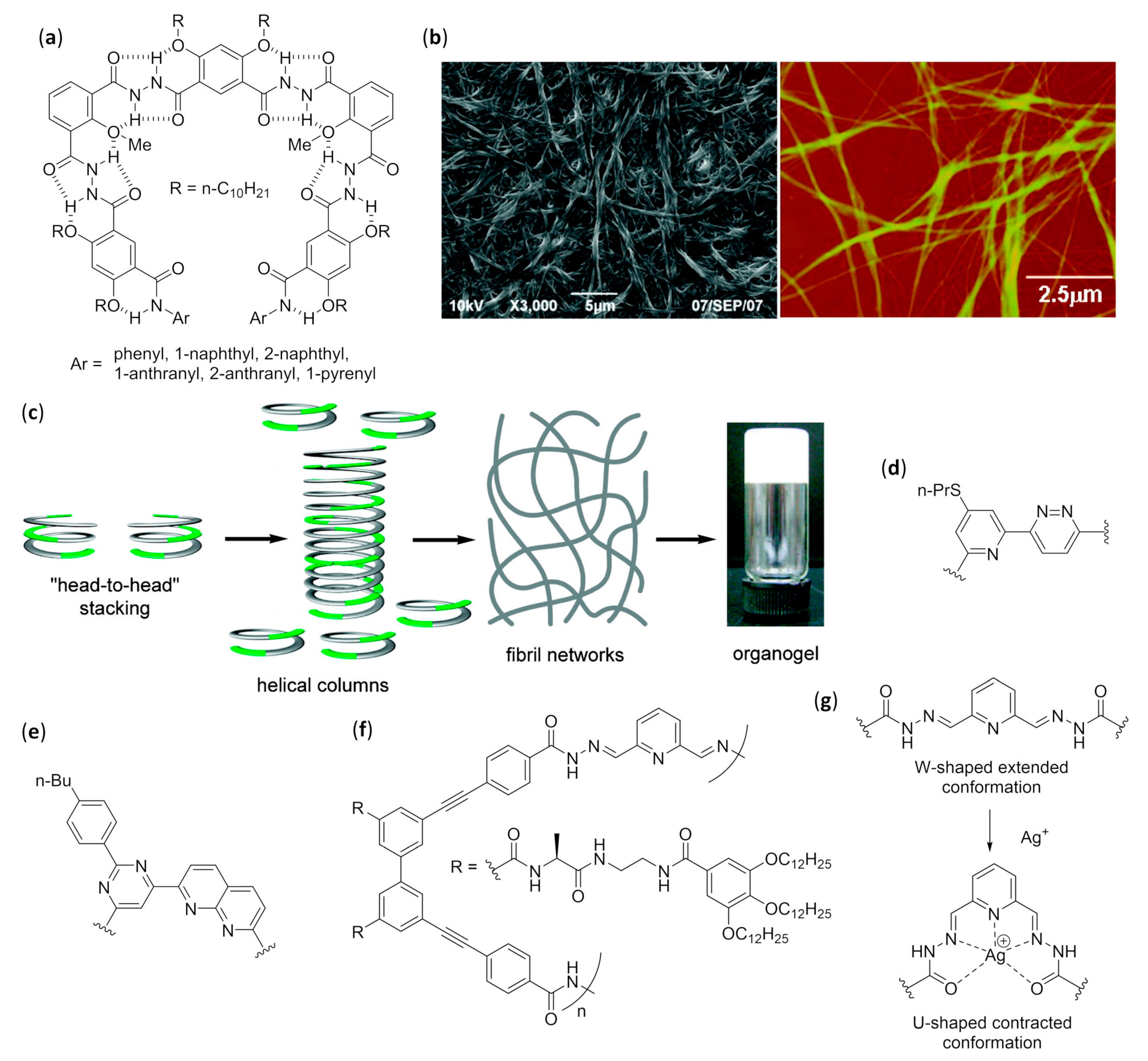 Molecules 25 03276 g017 Molecules 25 03276 g017