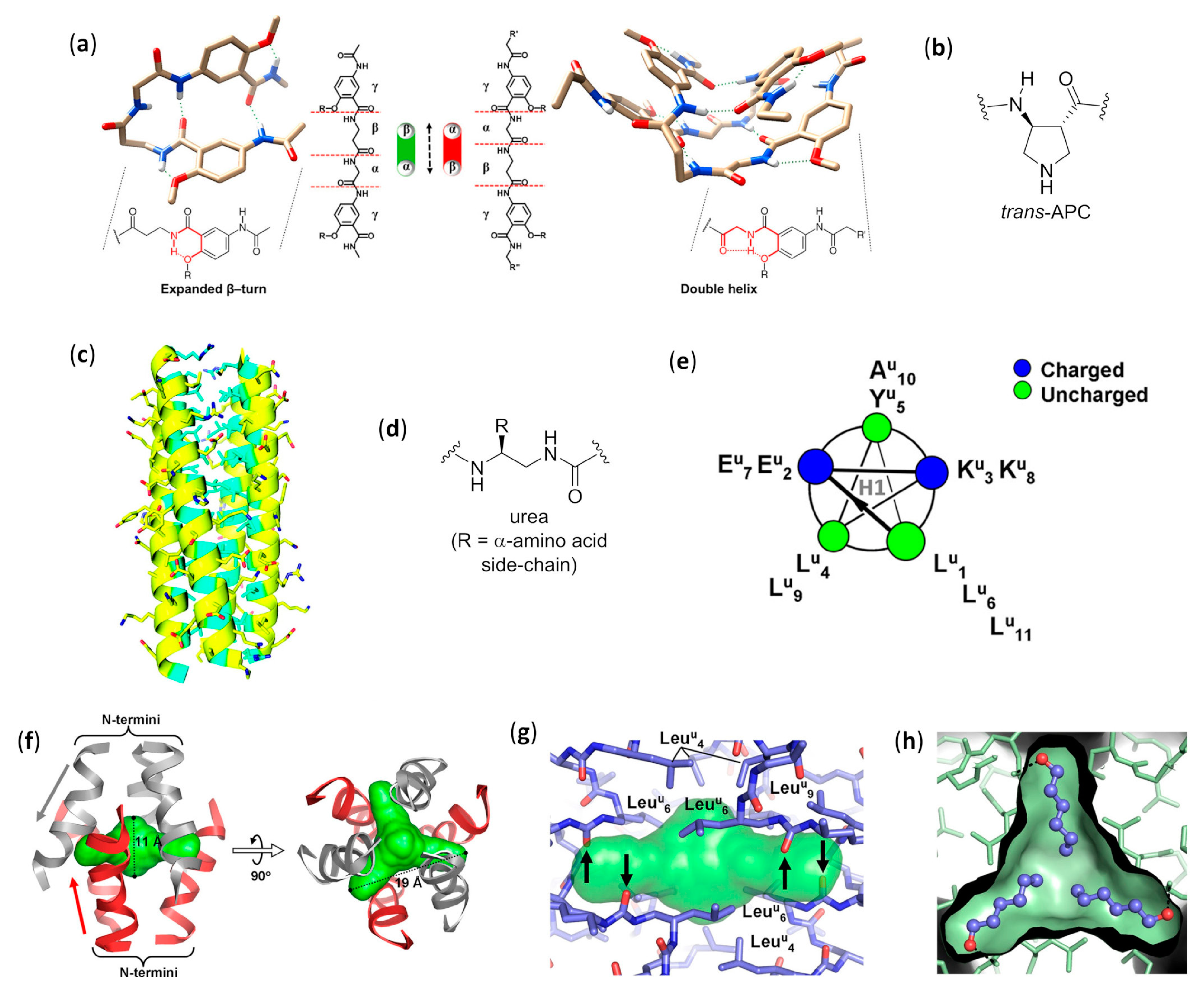 Molecules 25 03276 g019 Molecules 25 03276 g019