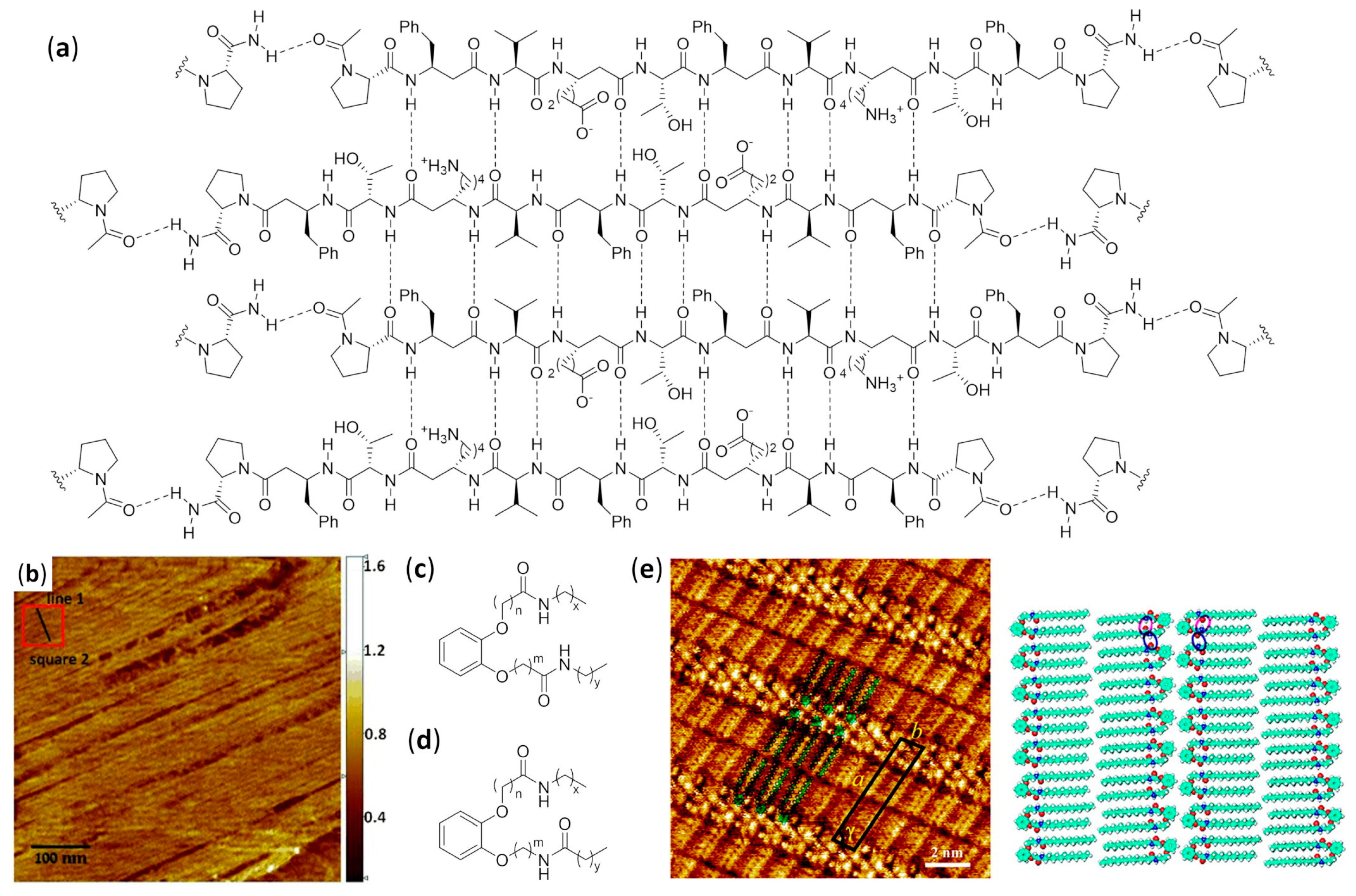 Molecules 25 03276 g020 Molecules 25 03276 g020