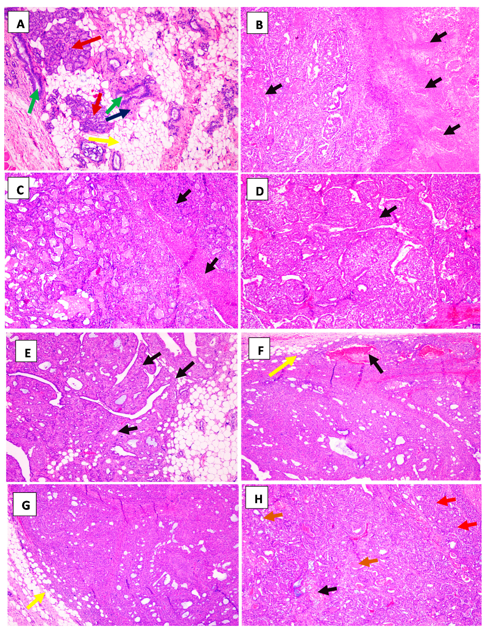 Molecules 25 03284 g005