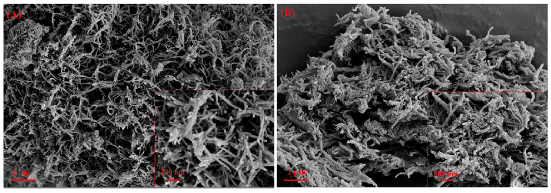 Molecules 25 03288 g003 Molecules 25 03288 g003