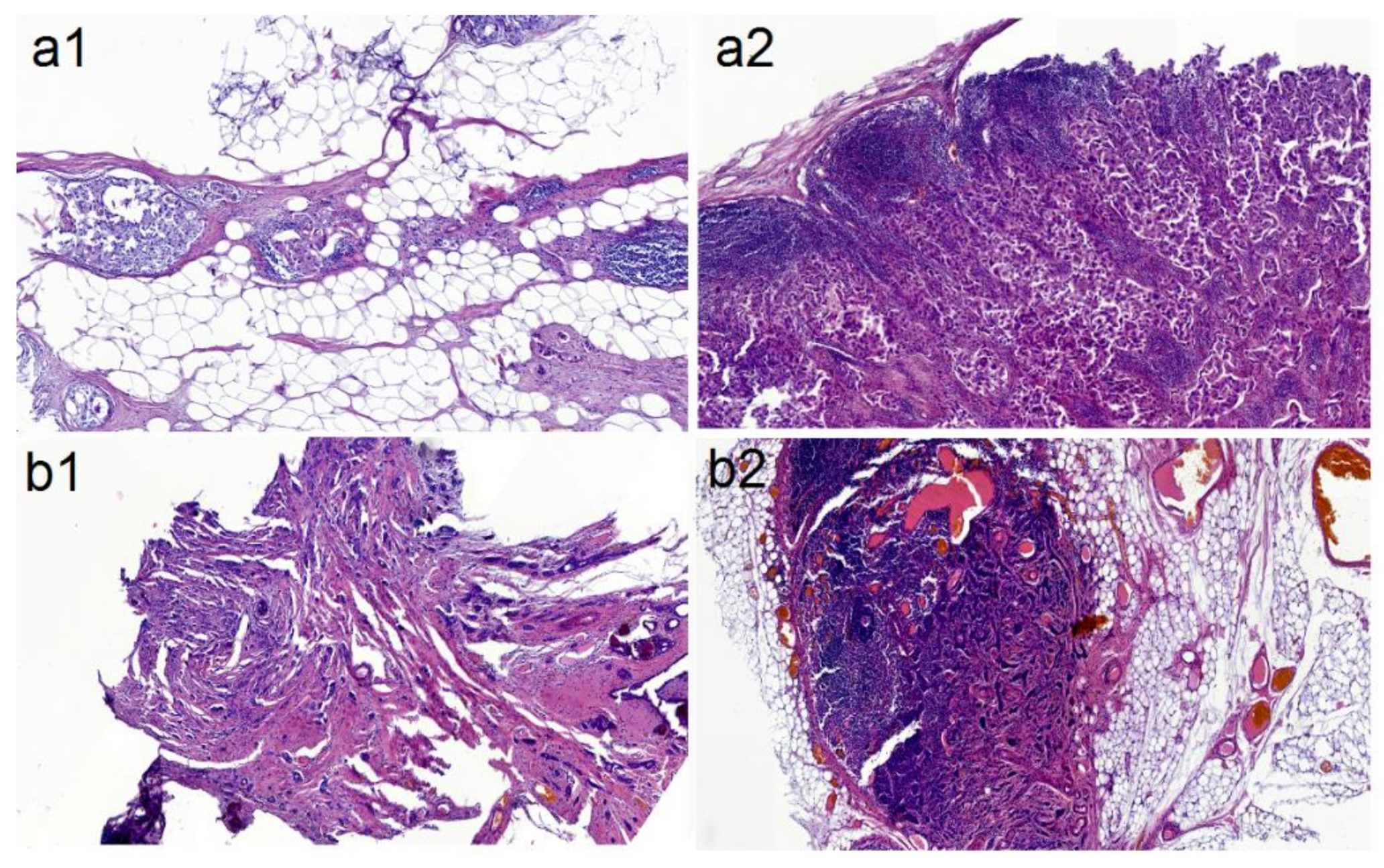 Molecules 25 03295 g001