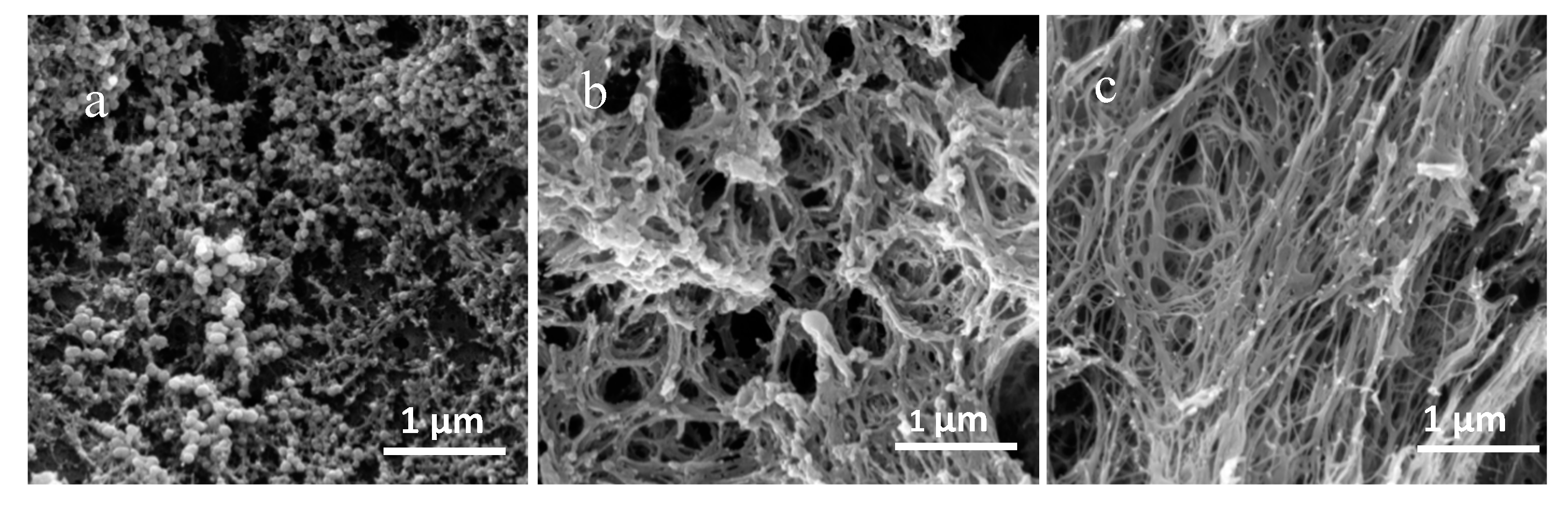 Molecules 25 03314 g002 Molecules 25 03314 g002