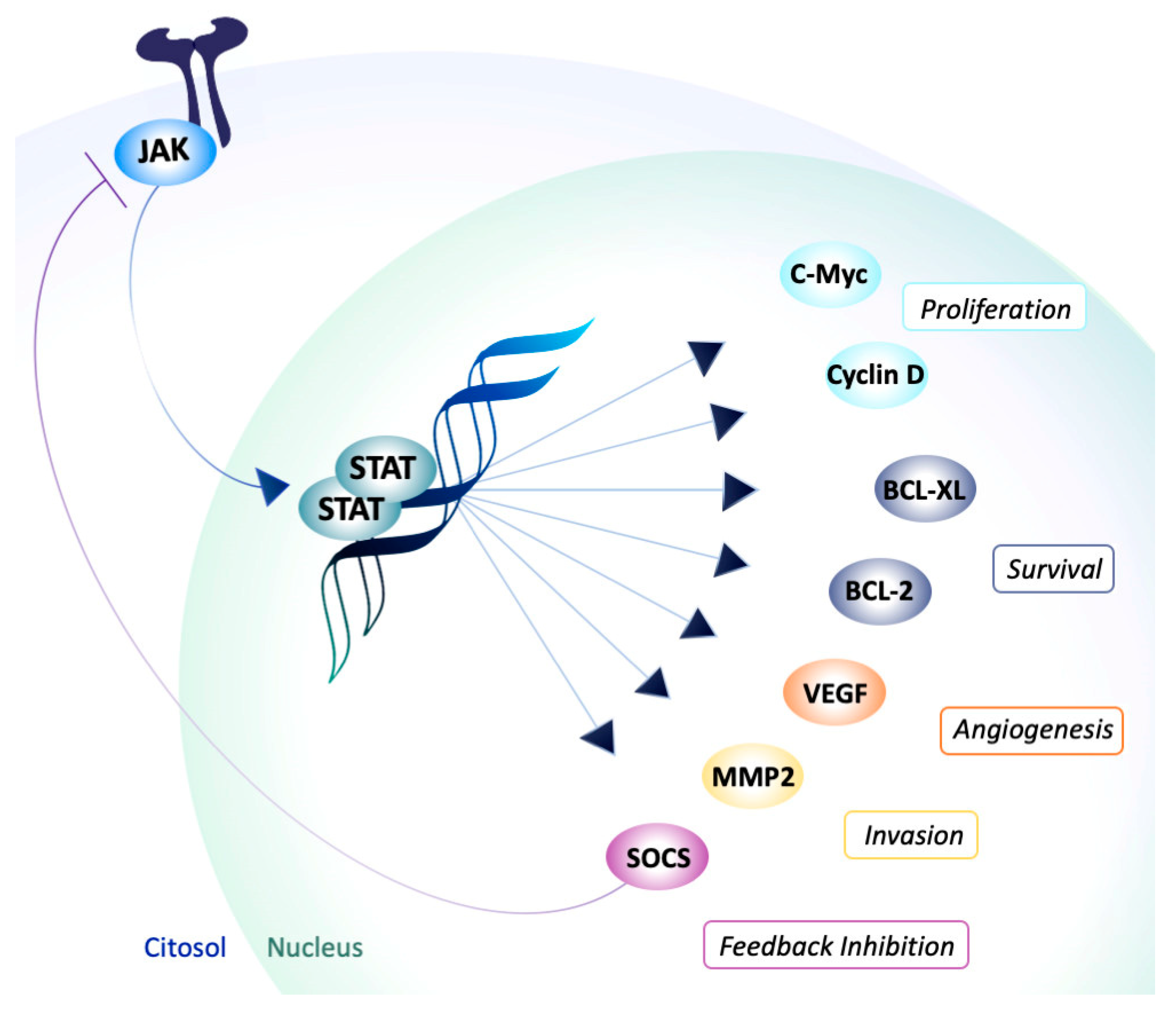 Molecules 25 03321 g001