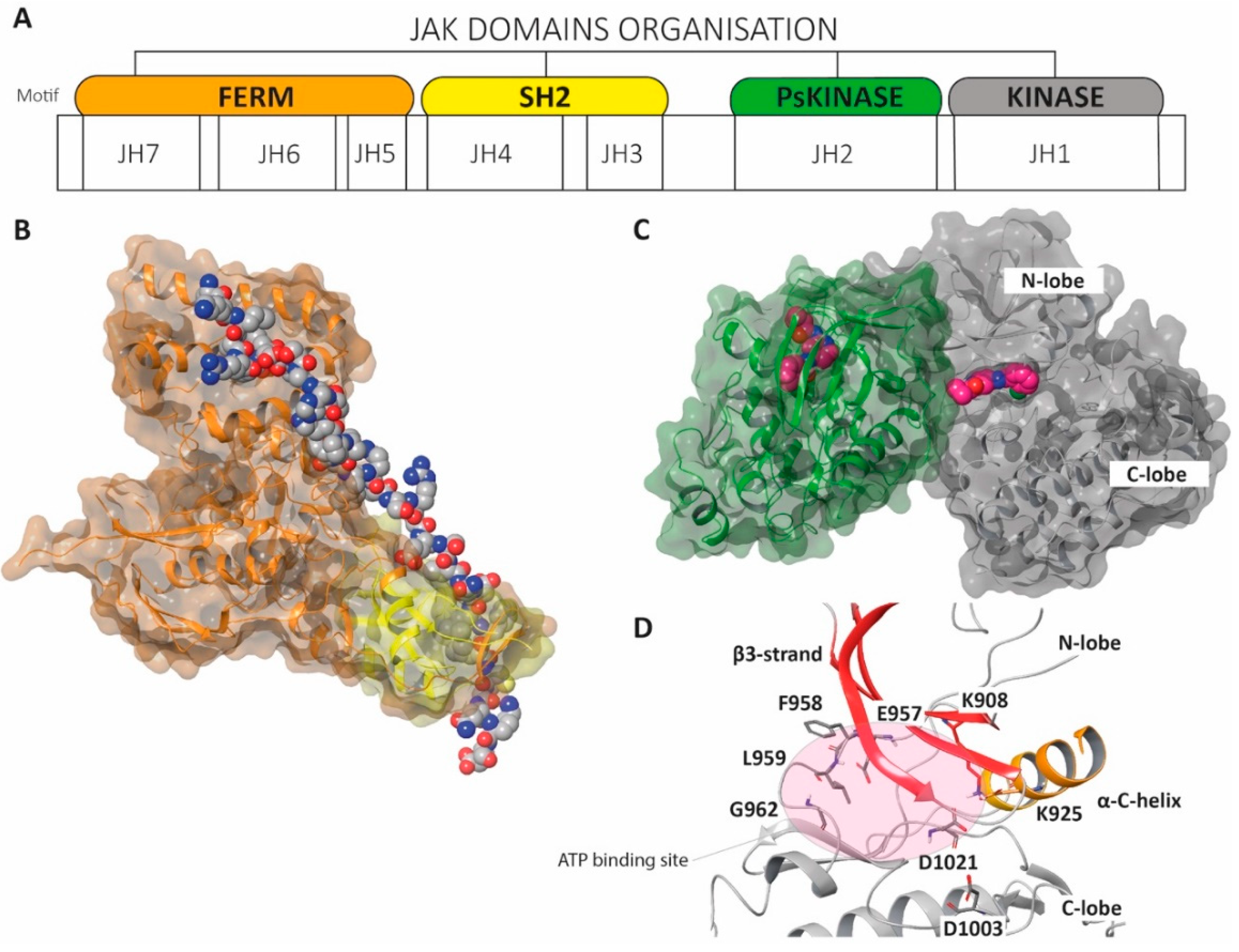 Molecules 25 03321 g008
