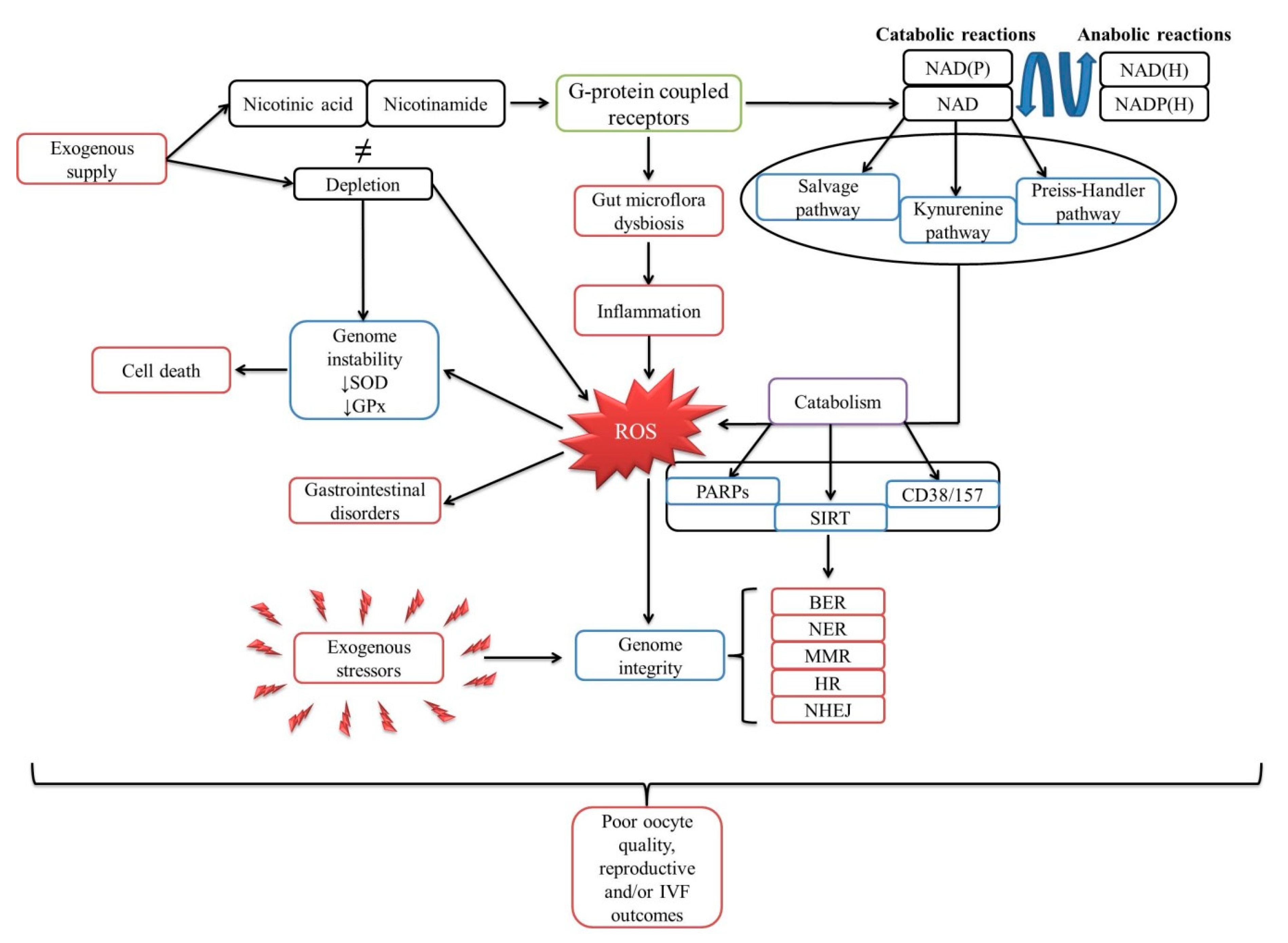 Molecules 25 03323 g001 Molecules 25 03323 g001