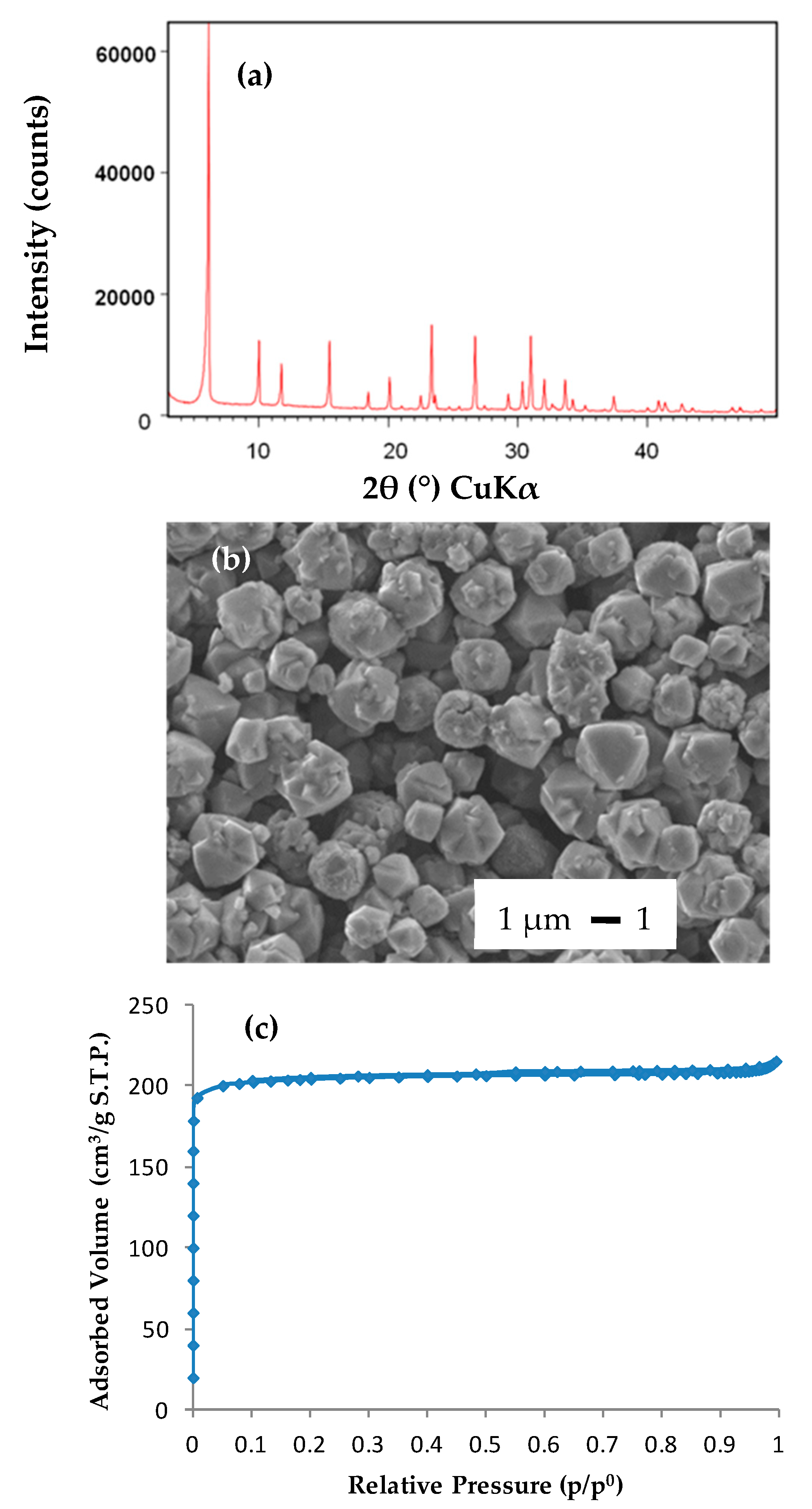 Molecules 25 03336 g001