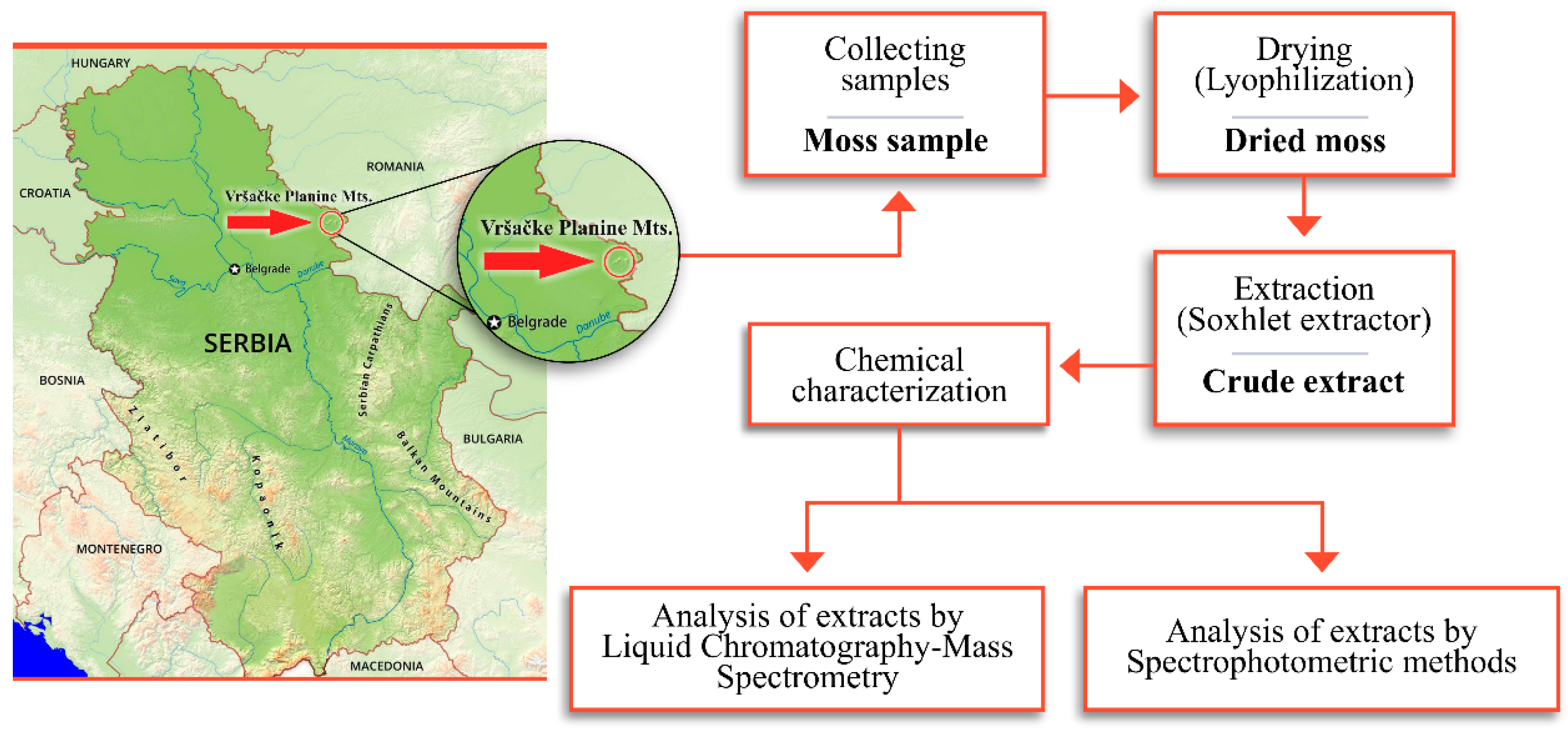 Molecules 25 03343 g004 Molecules 25 03343 g004