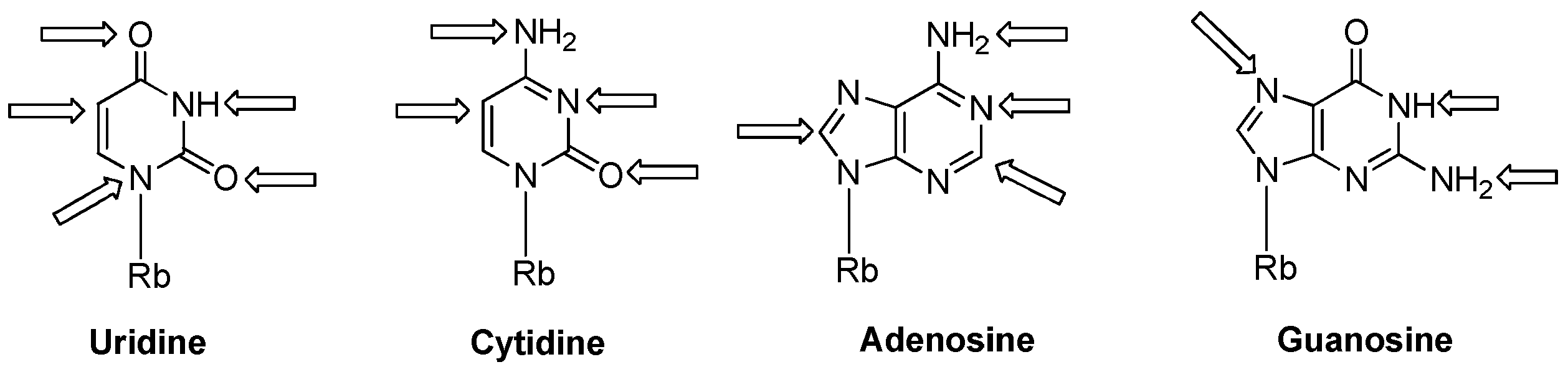 Molecules 25 03344 g001