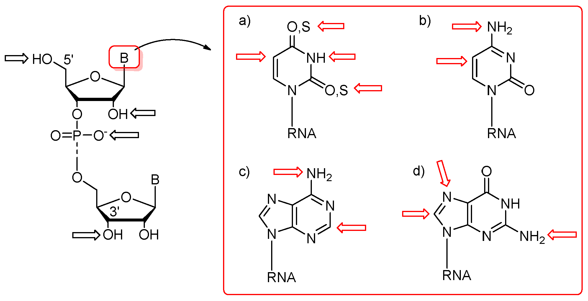 Molecules 25 03344 g003
