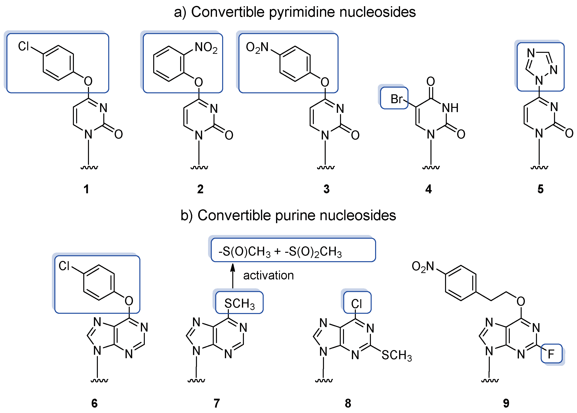 Molecules 25 03344 g004