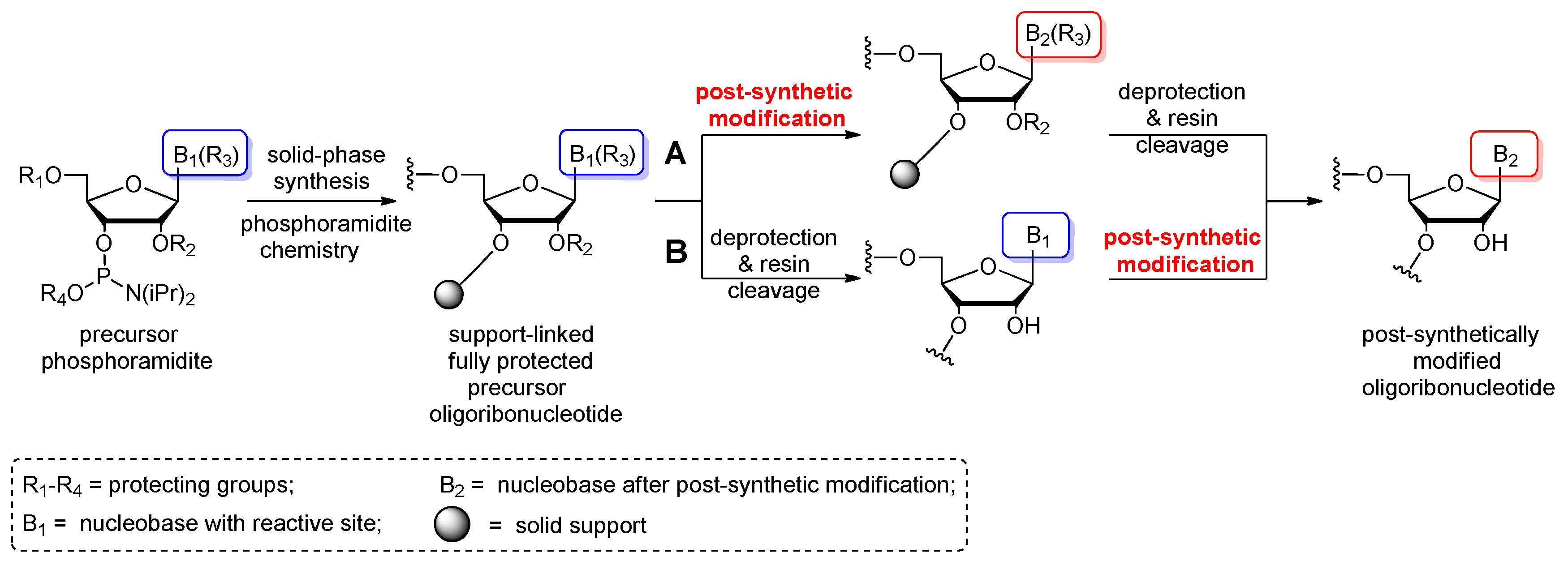 Molecules 25 03344 sch002