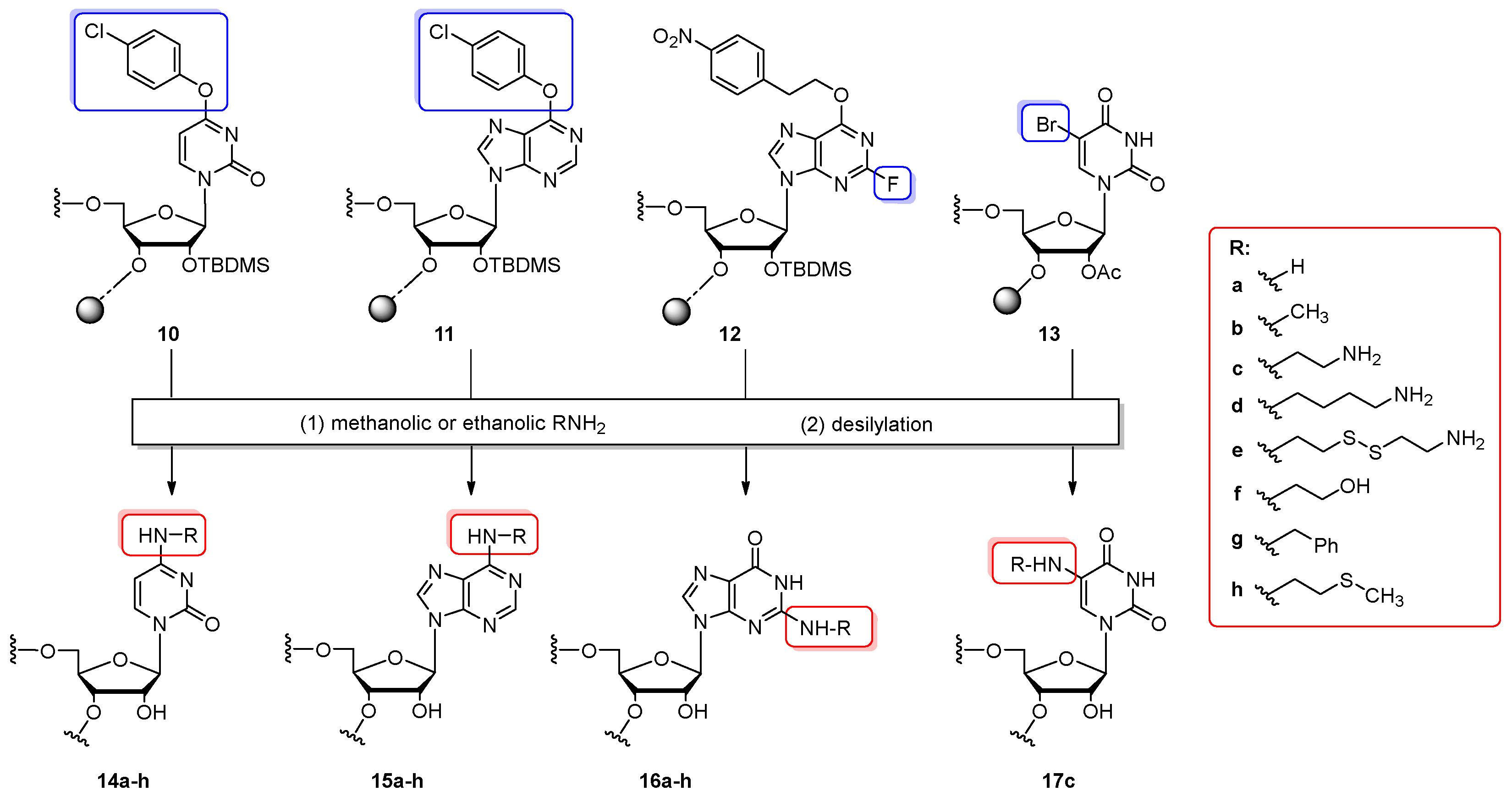 Molecules 25 03344 sch003