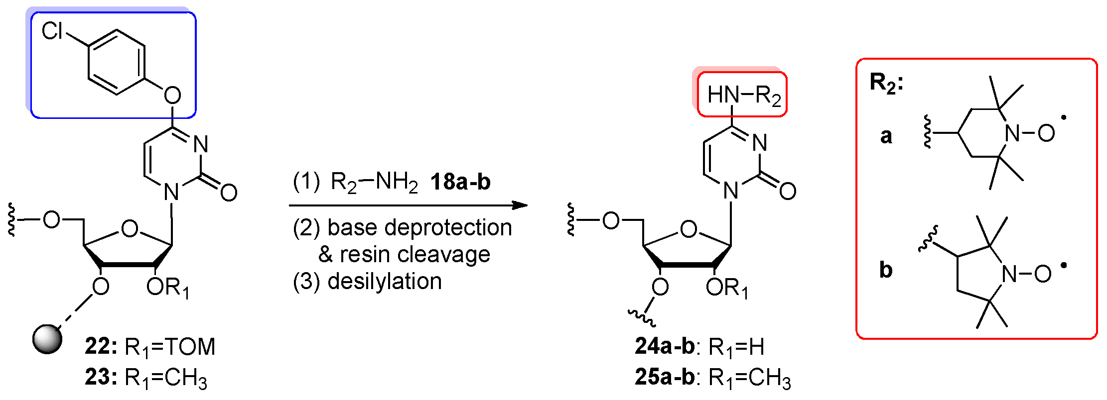Molecules 25 03344 sch005