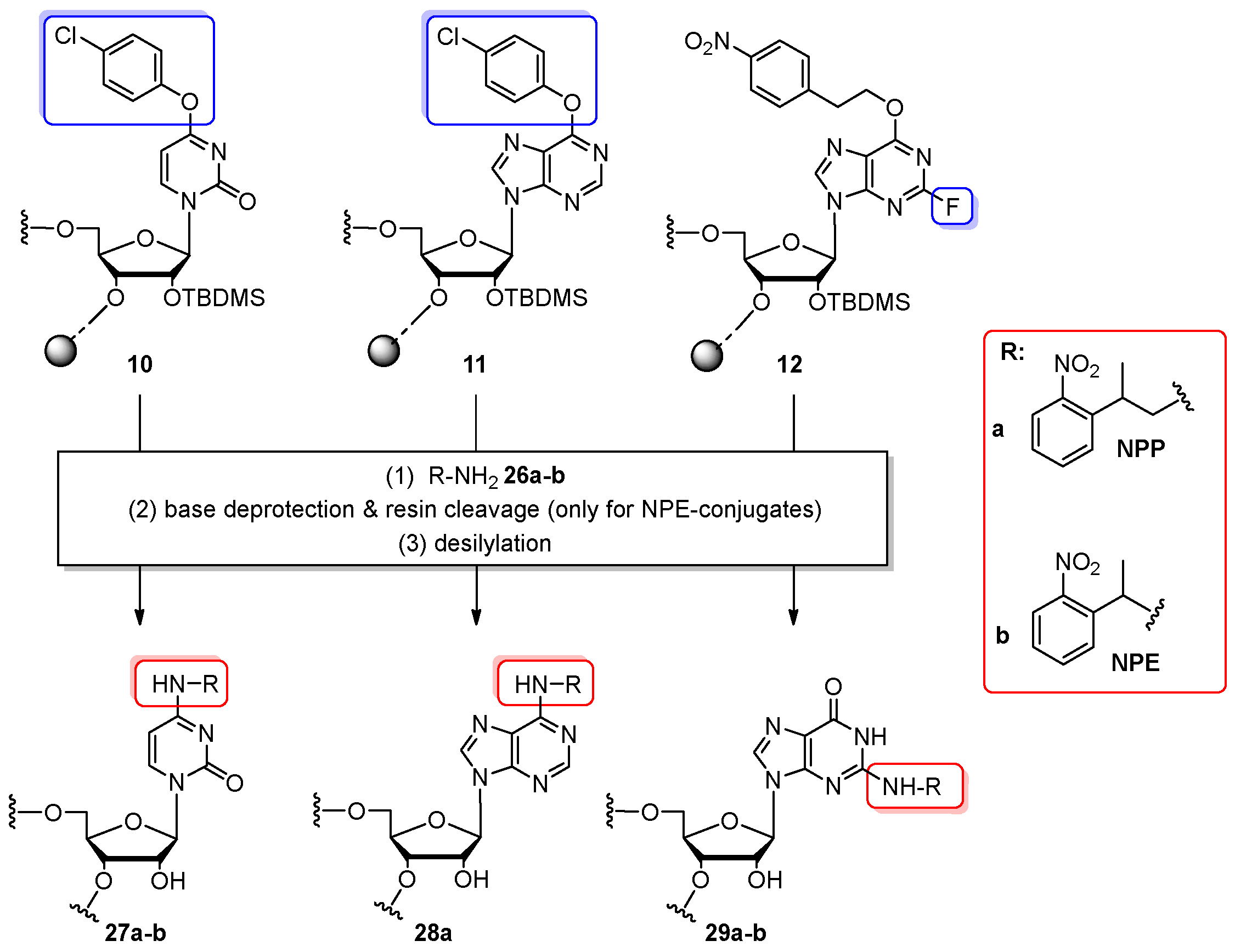 Molecules 25 03344 sch006
