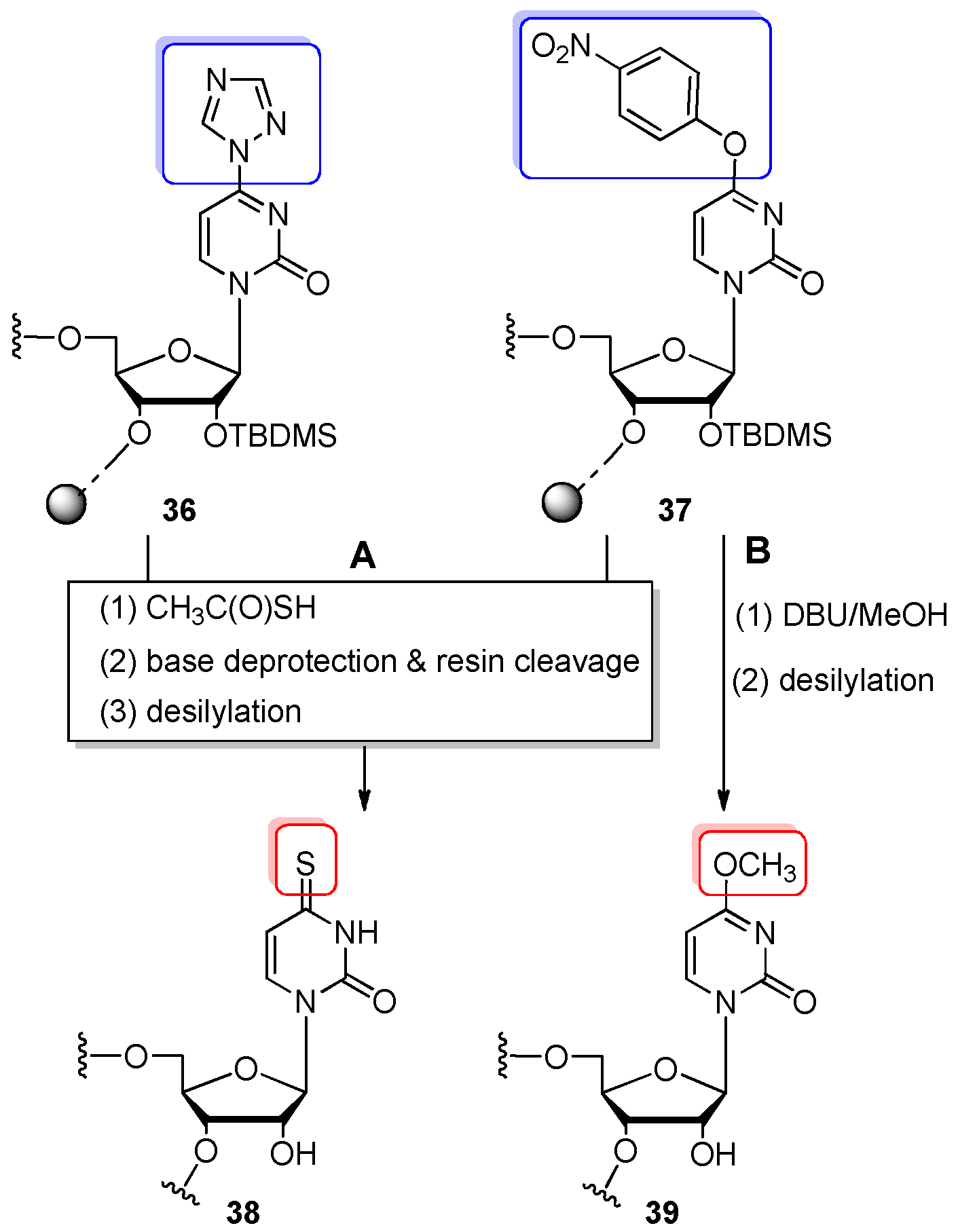 Molecules 25 03344 sch009