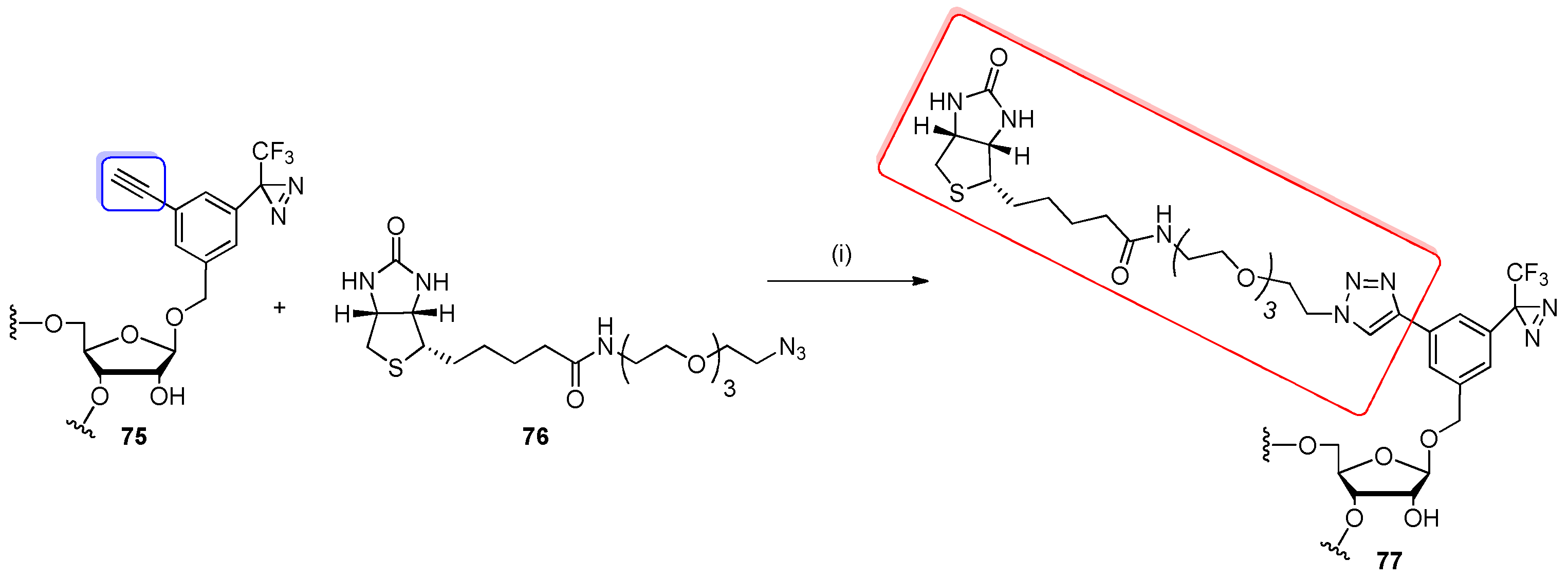 Molecules 25 03344 sch018