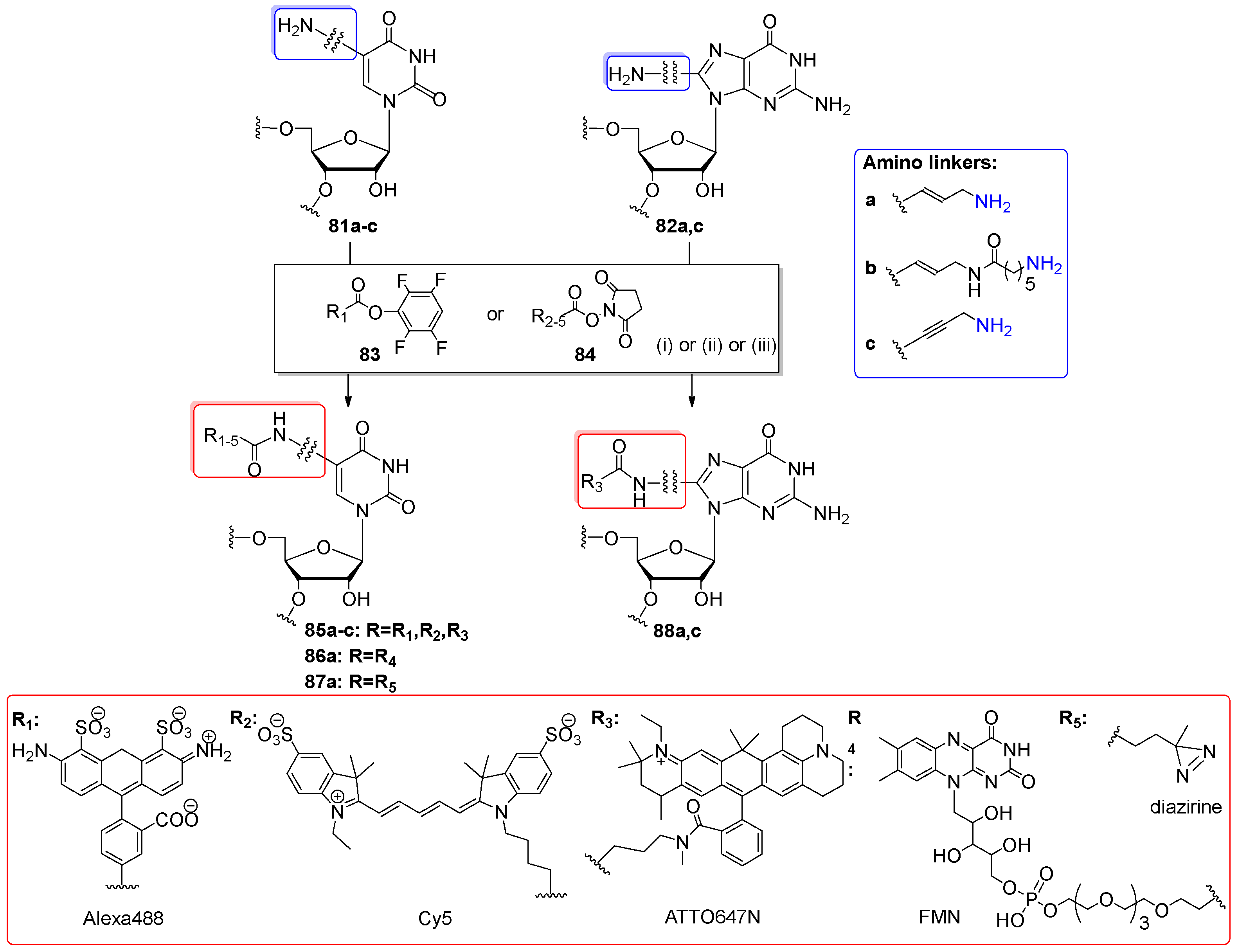 Molecules 25 03344 sch020