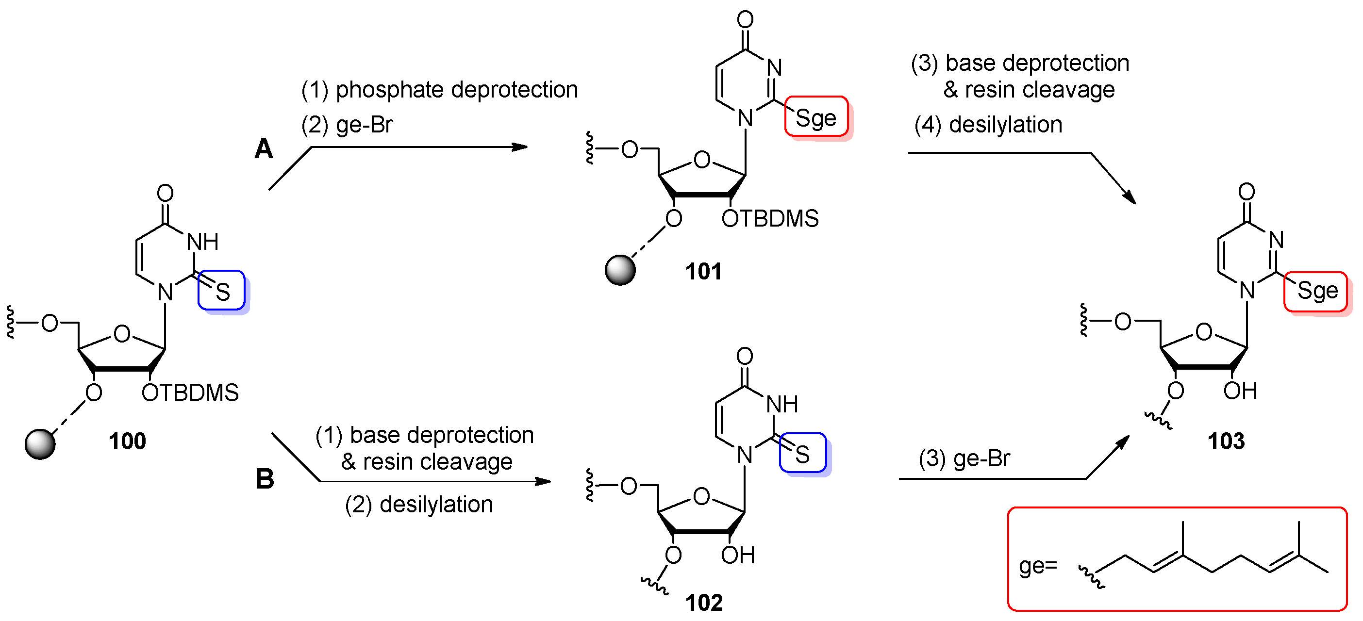 Molecules 25 03344 sch025