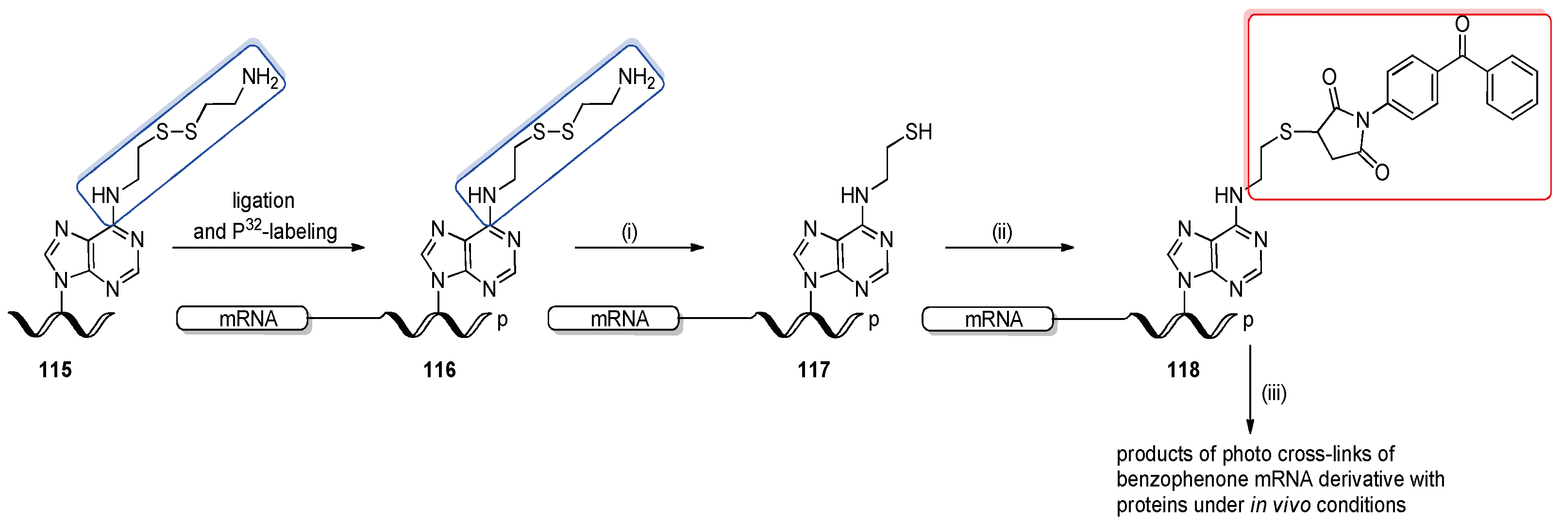 Molecules 25 03344 sch028