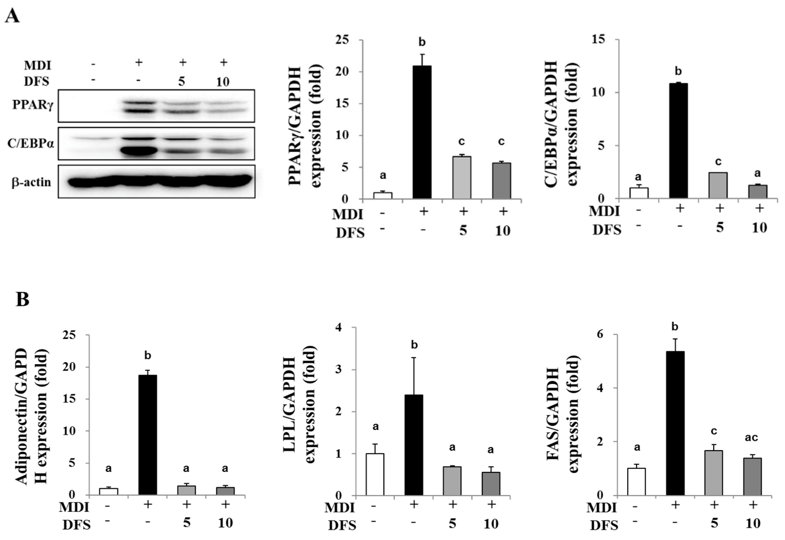Molecules 25 03346 g003